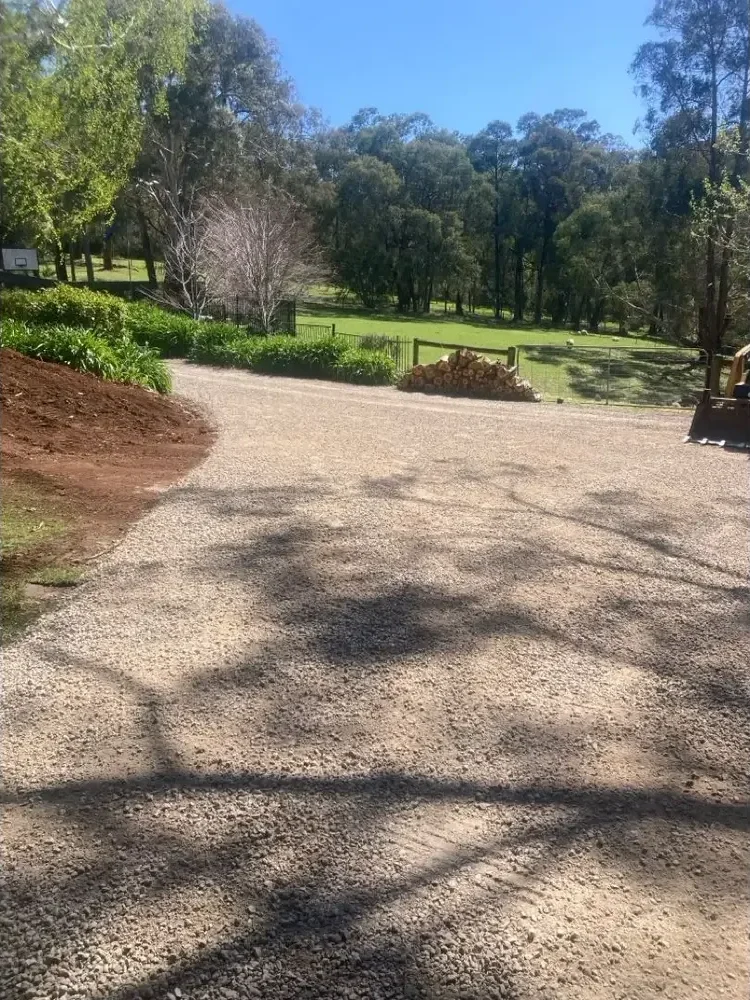 A gravel driveway bordered by green plants and trees, with a pile of firewood and a wooden fence in the background, under a clear blue sky.