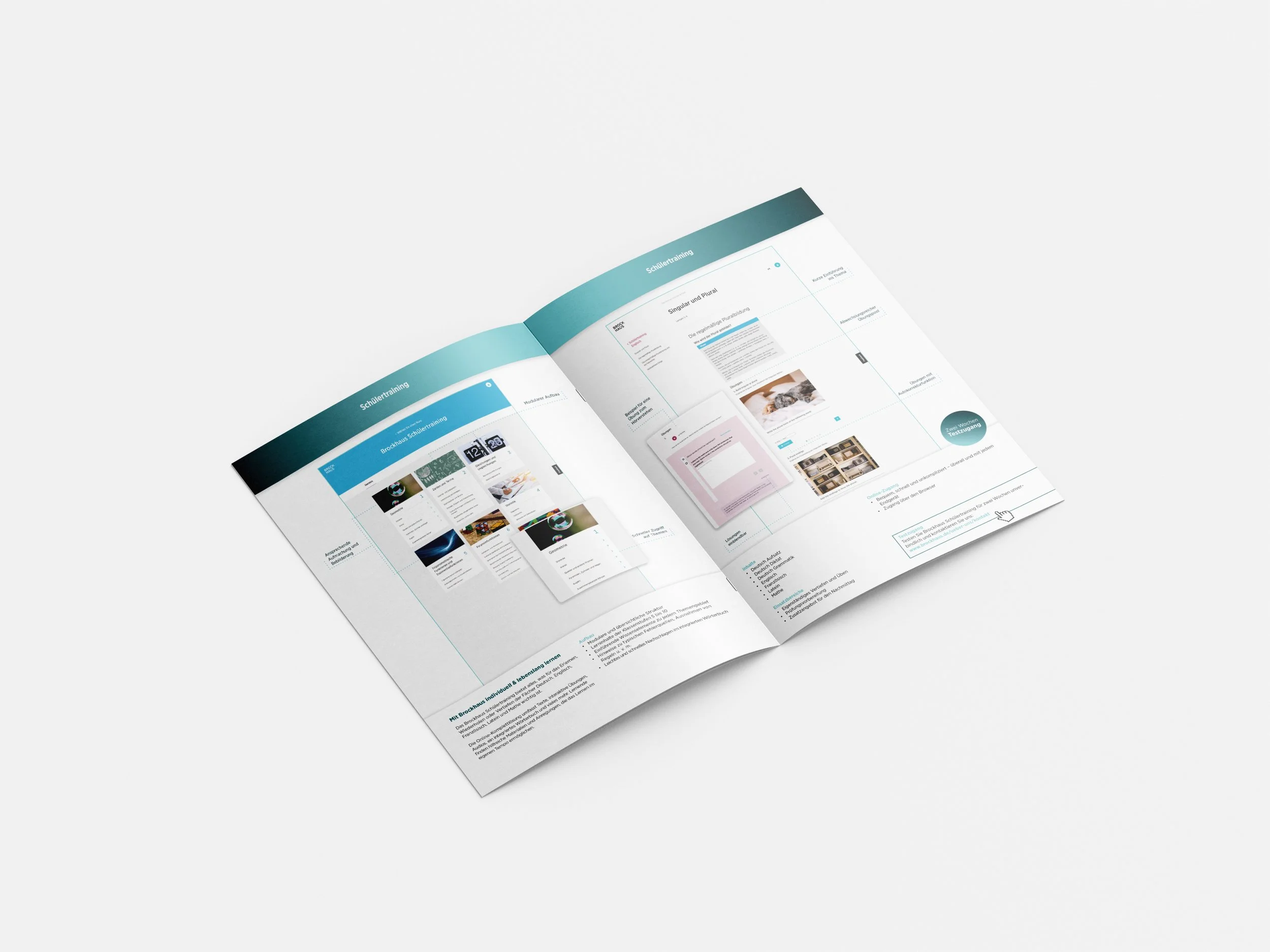 Free_A4_Brochure_Mockup_7.jpg