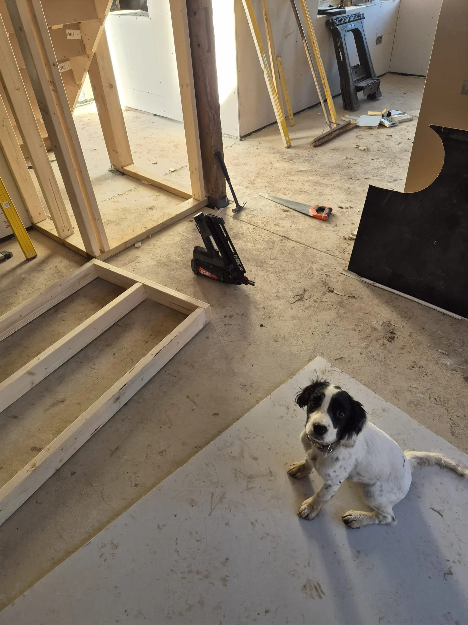 WhatsApp Image 2026-04-01 at 17.43.11.jpeg