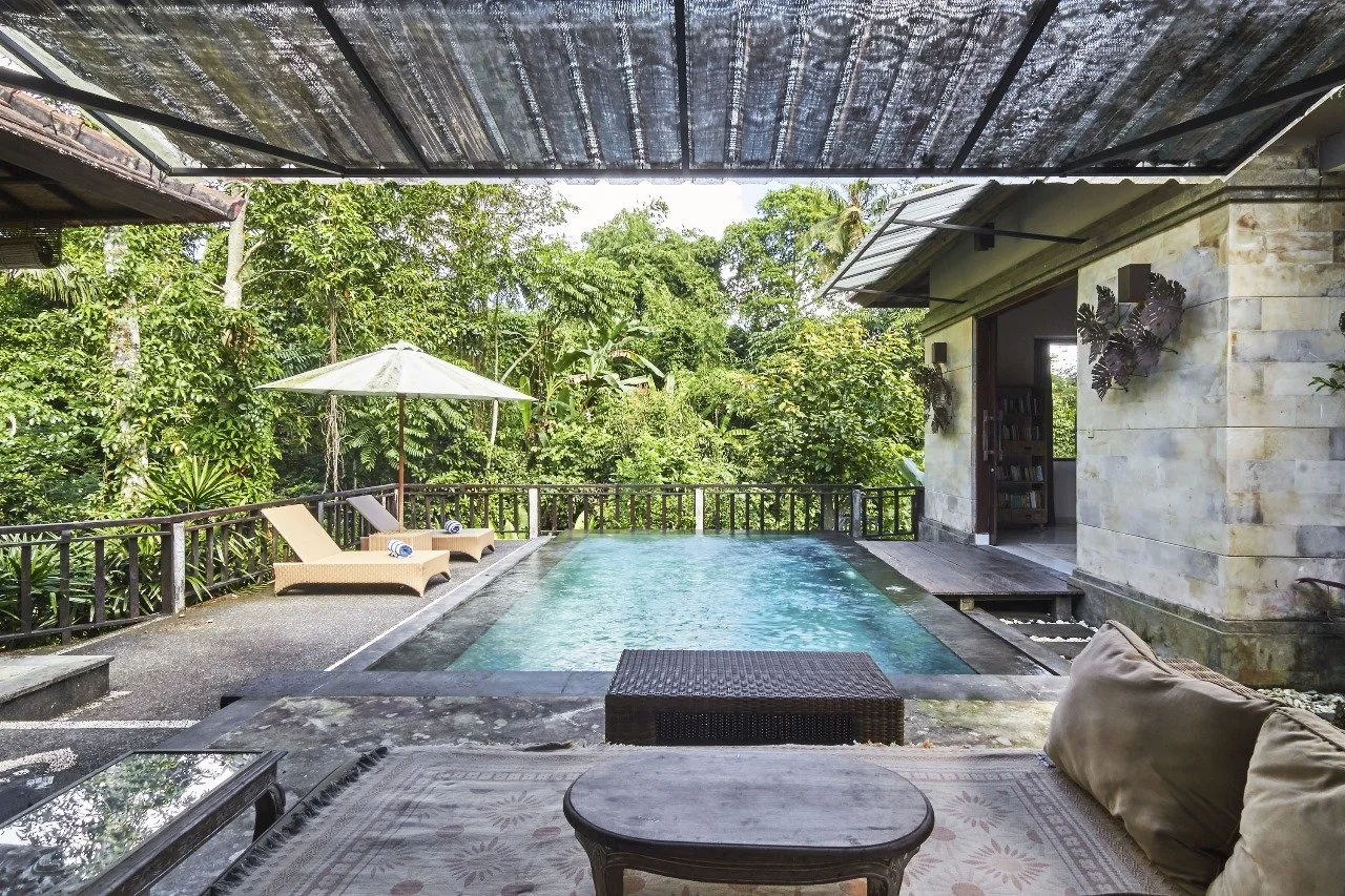 A private outdoor pool surrounded by lush green trees with lounge chairs and an umbrella, adjacent to sliding doors leading directly to a bedroom.