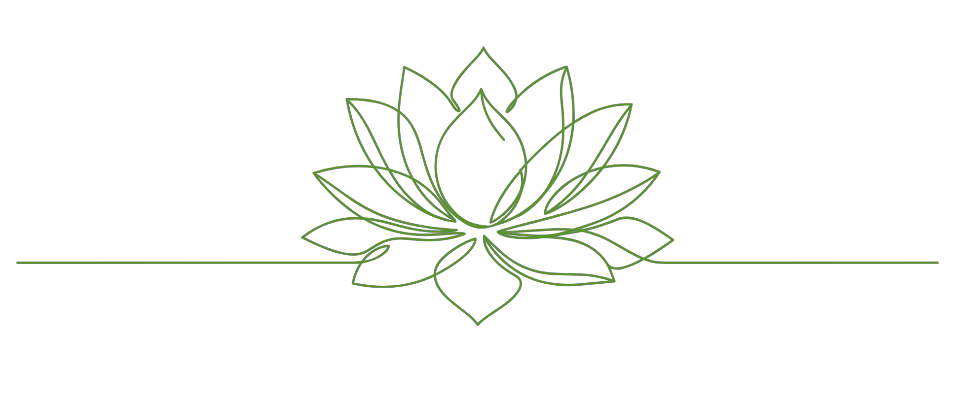 Stylized line drawing of a lotus flower with symmetrical leaves, centered above a horizontal line.