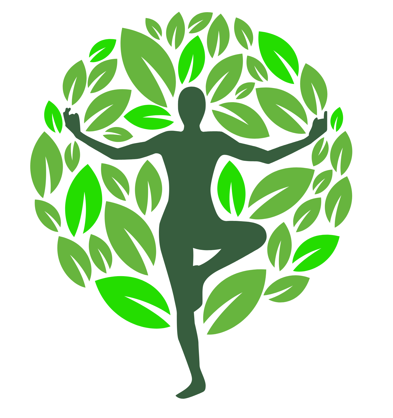 Yoga tree image