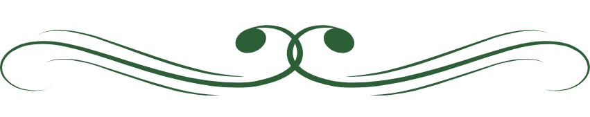 Decorative green swirl design with symmetrical curves and loops.
