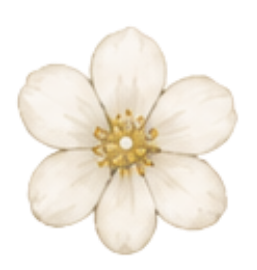 A close-up of a white flower with six petals and a yellow center.