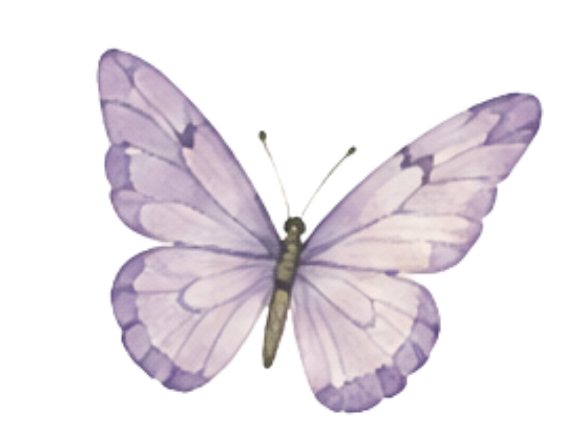 A purple butterfly with delicate, translucent wings.