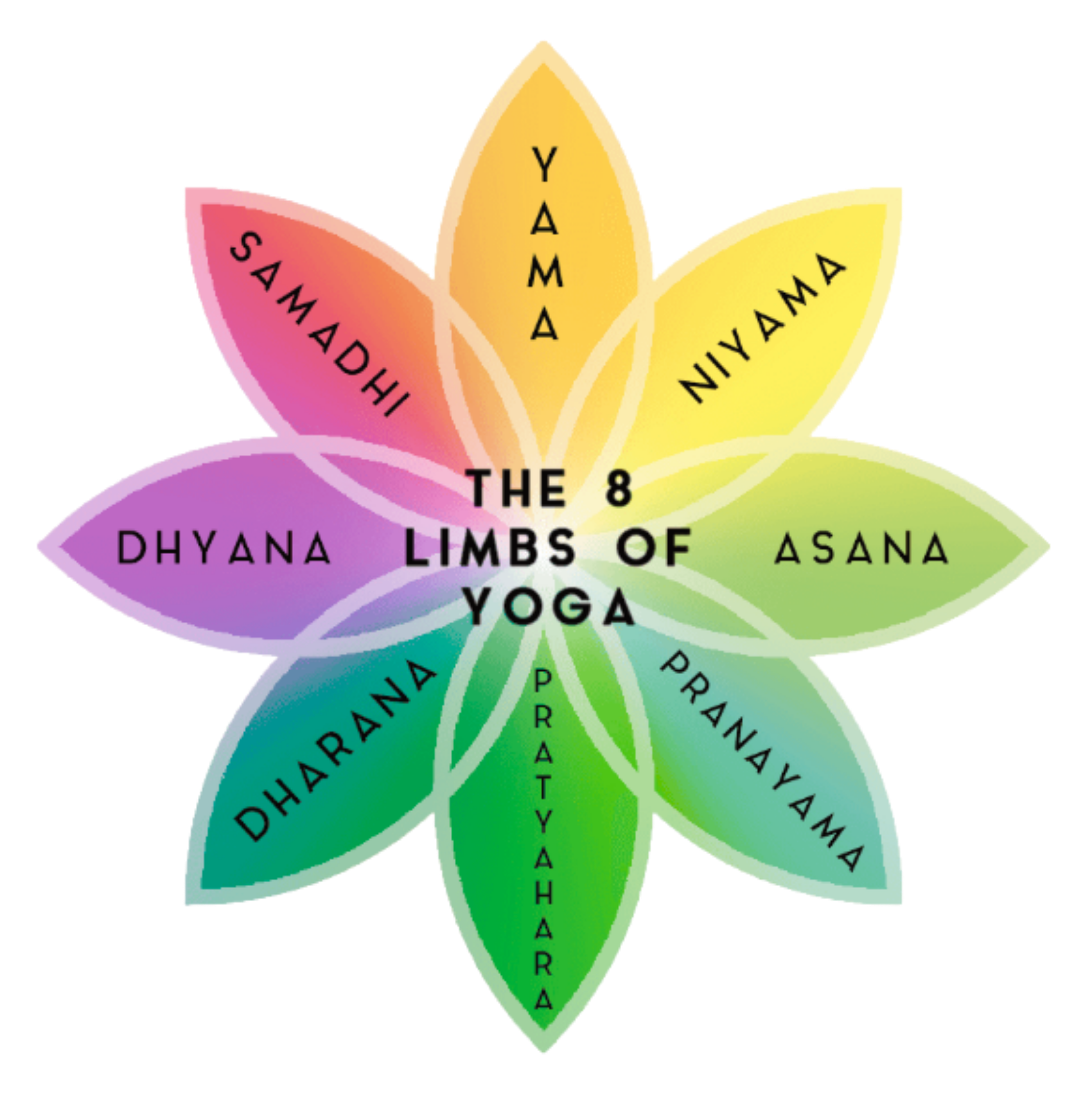 8 Limbs of Yoga Image