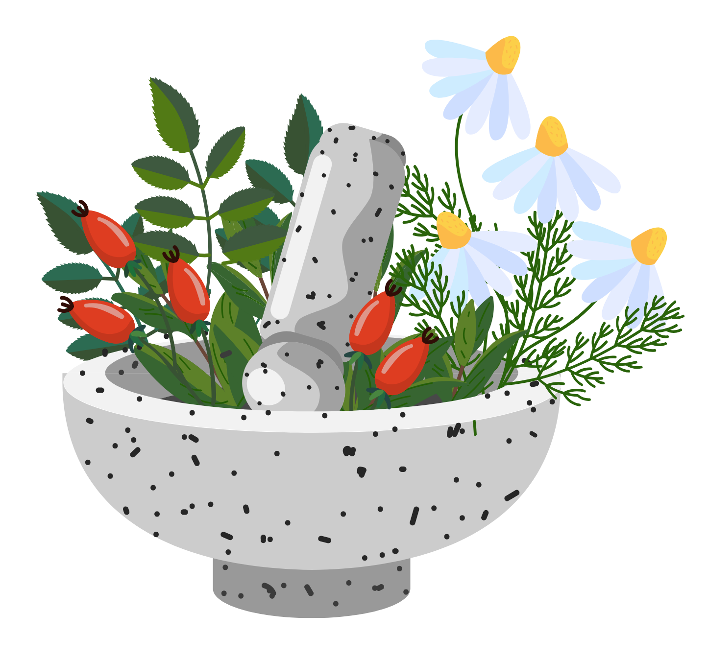 Chakra Herb Image