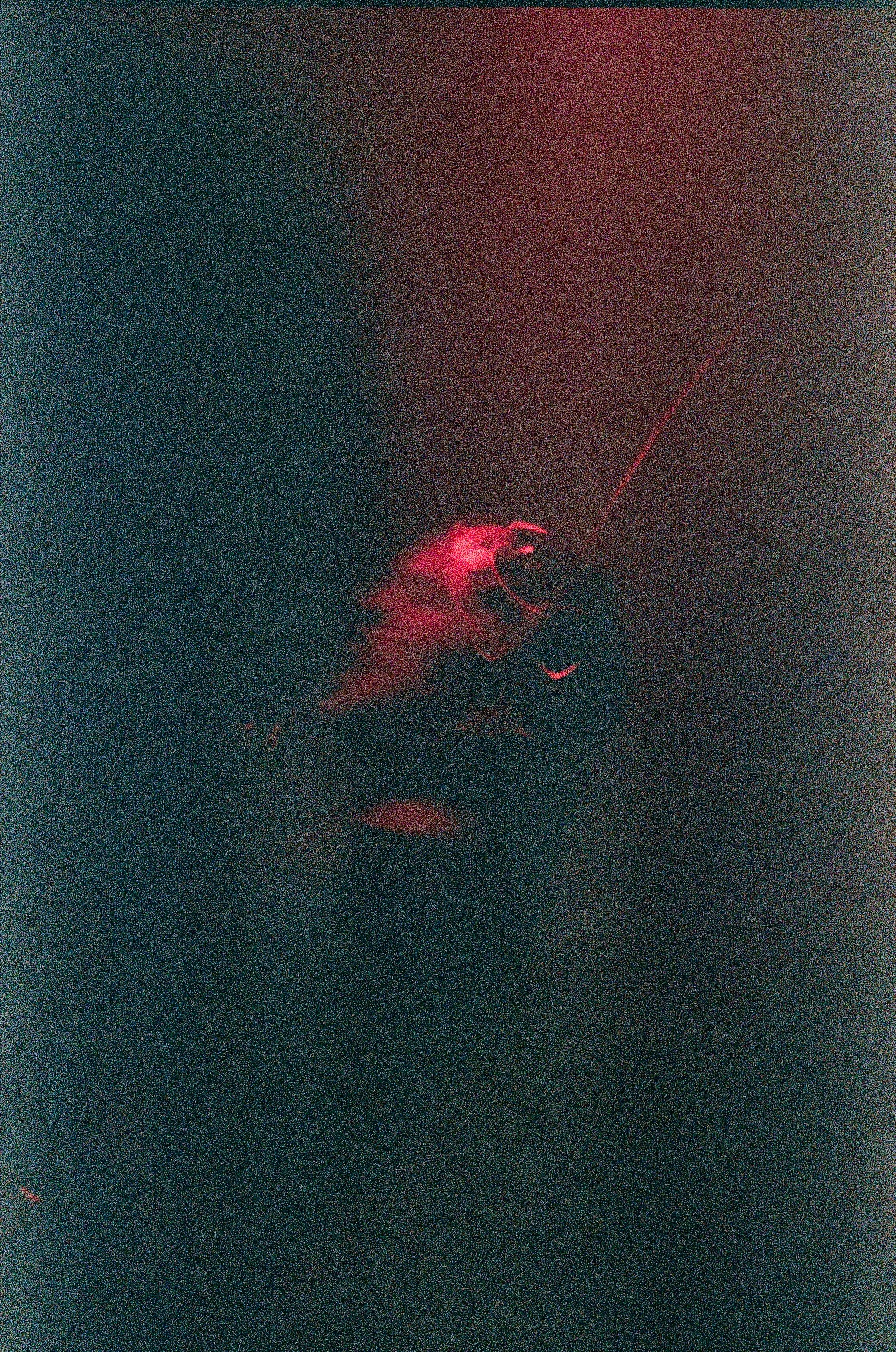 live music sarab logue pose syrian world music 35mm film