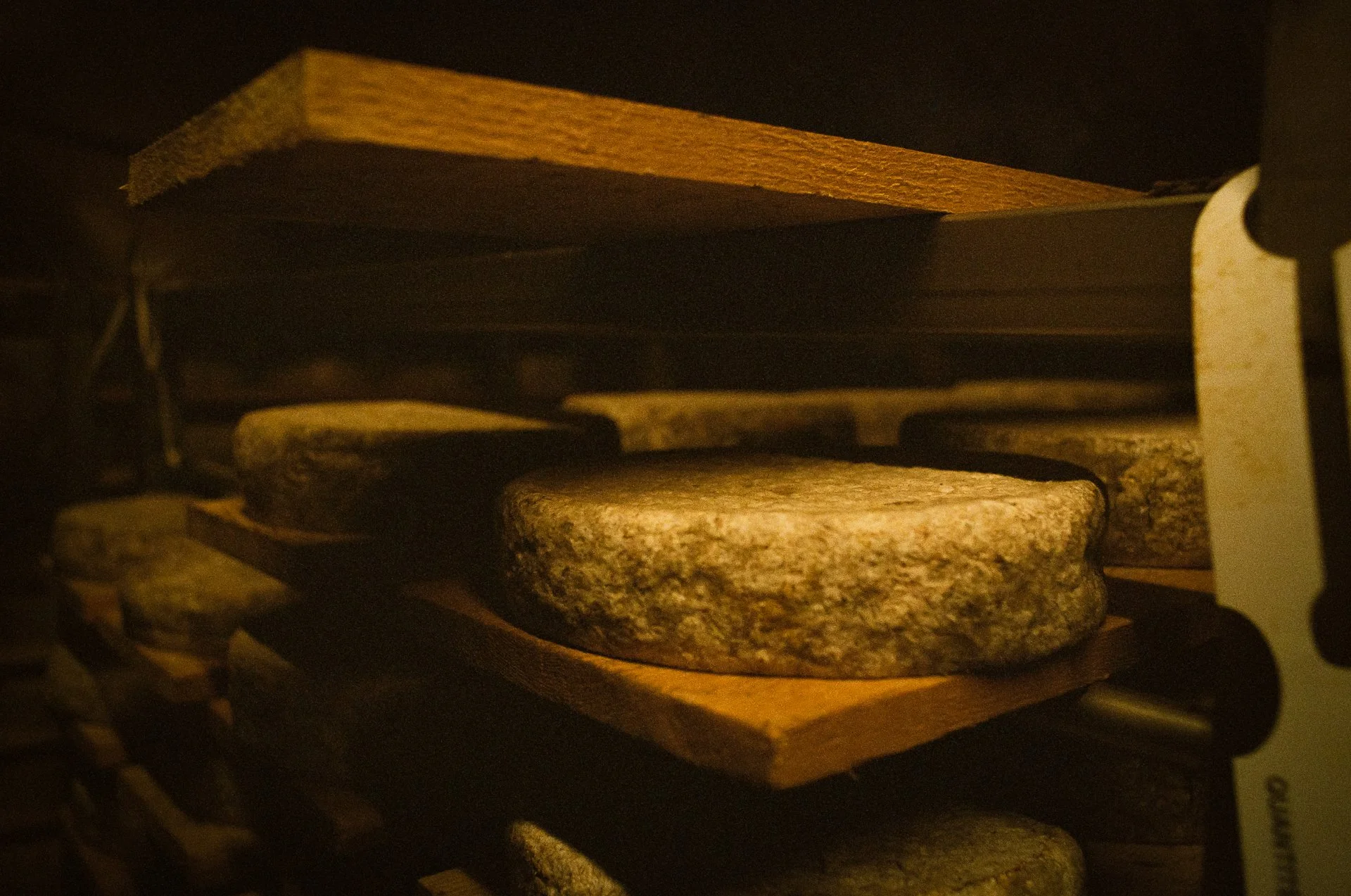 Gros plan sur des fromages Tommes de Savoie, en cave d'affinage, posés sur des planches d'épicéa. Photographie argentique.