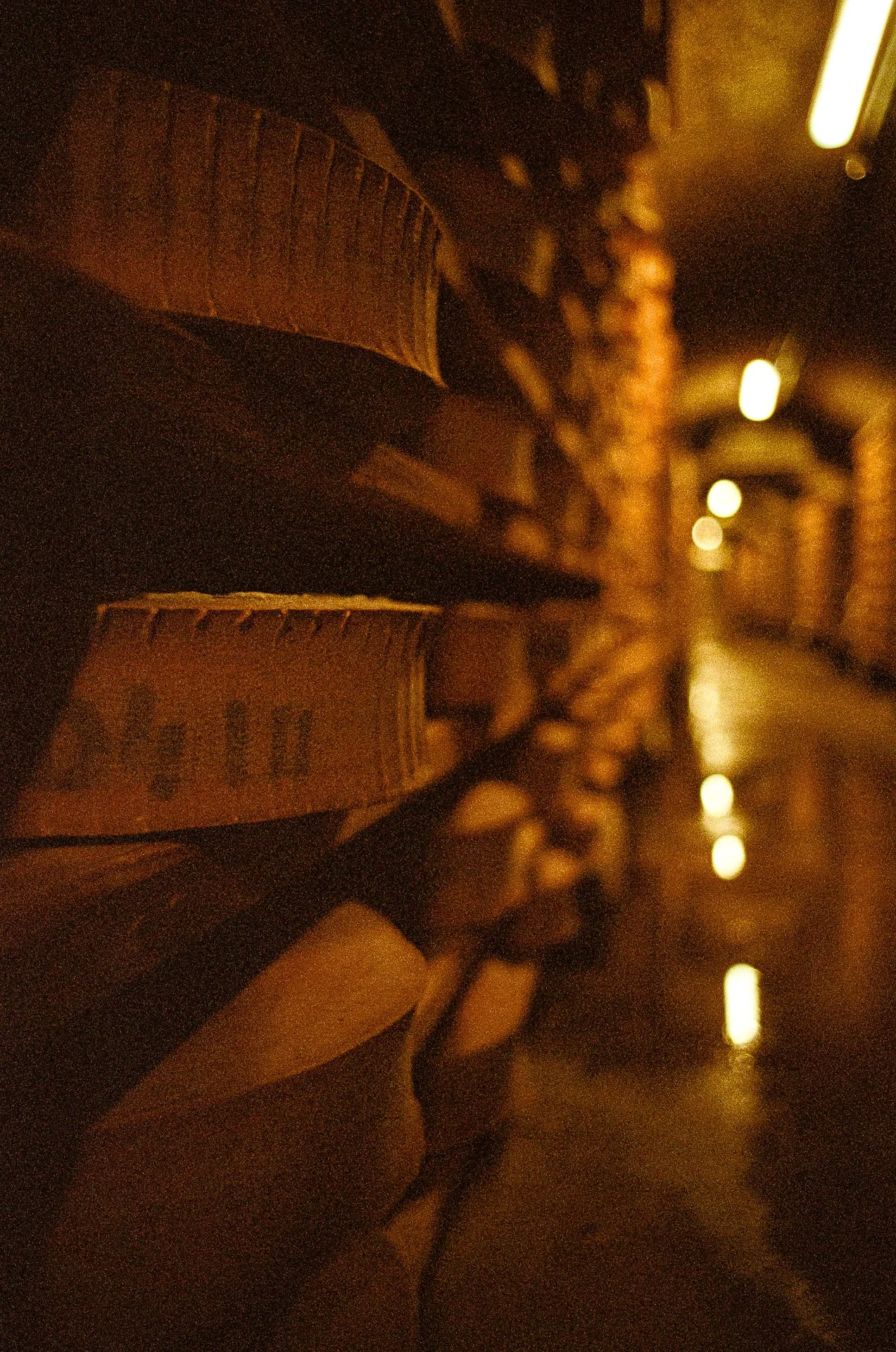 Meules de fromages Abondance, en train d'être affinées sur des planches d'épicéa, en cave d'affinage, avec vue sur un des tunnels de la cave. Photographie argentique.