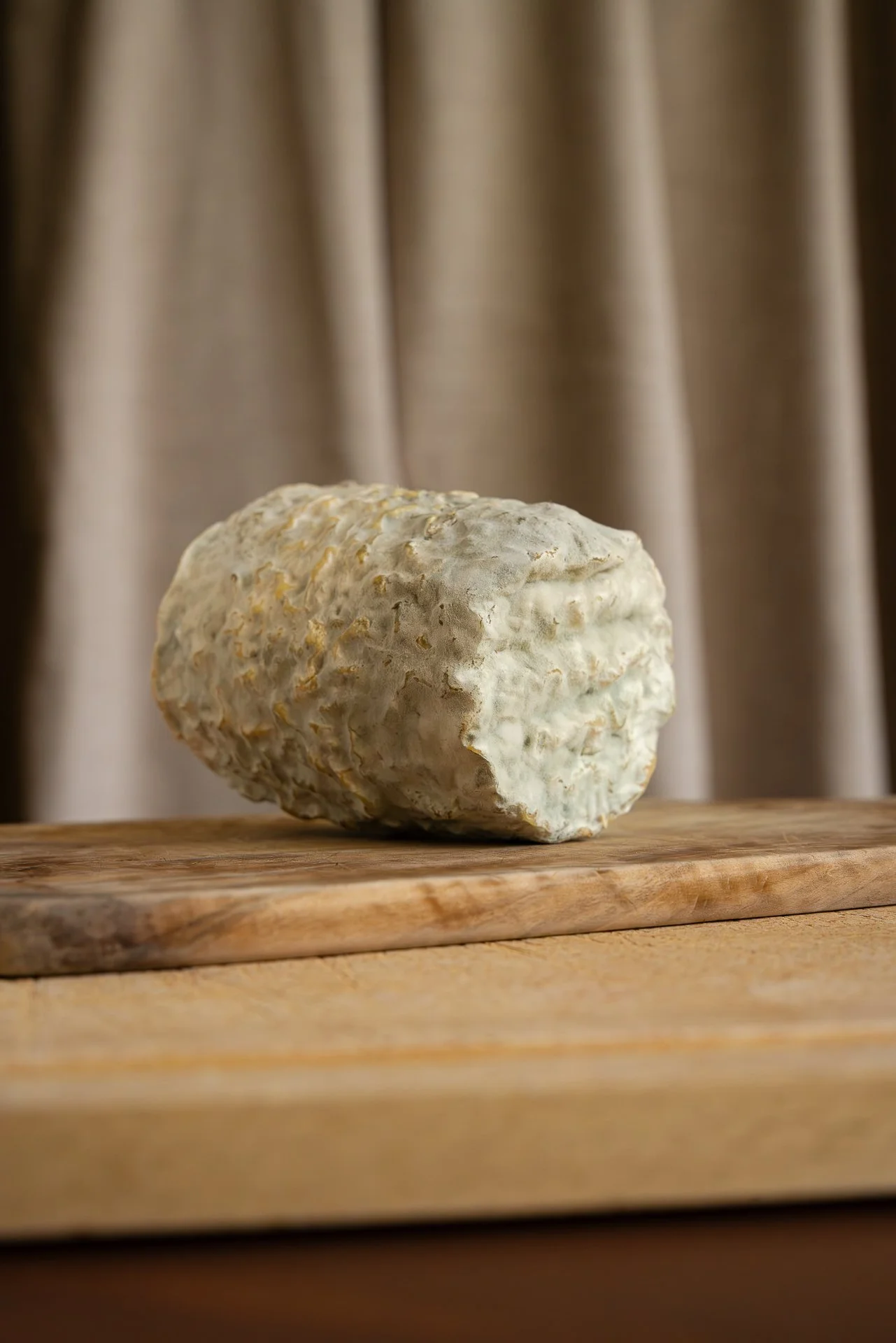 Clacbitou, un fromage de chèvre semblable à un Charolais, ayant la forme d'un tonnelet et à la croûte ridée et bleutée, posé sur une planche en bois, avec un tissu beige en arrière-plan Vue frontale.