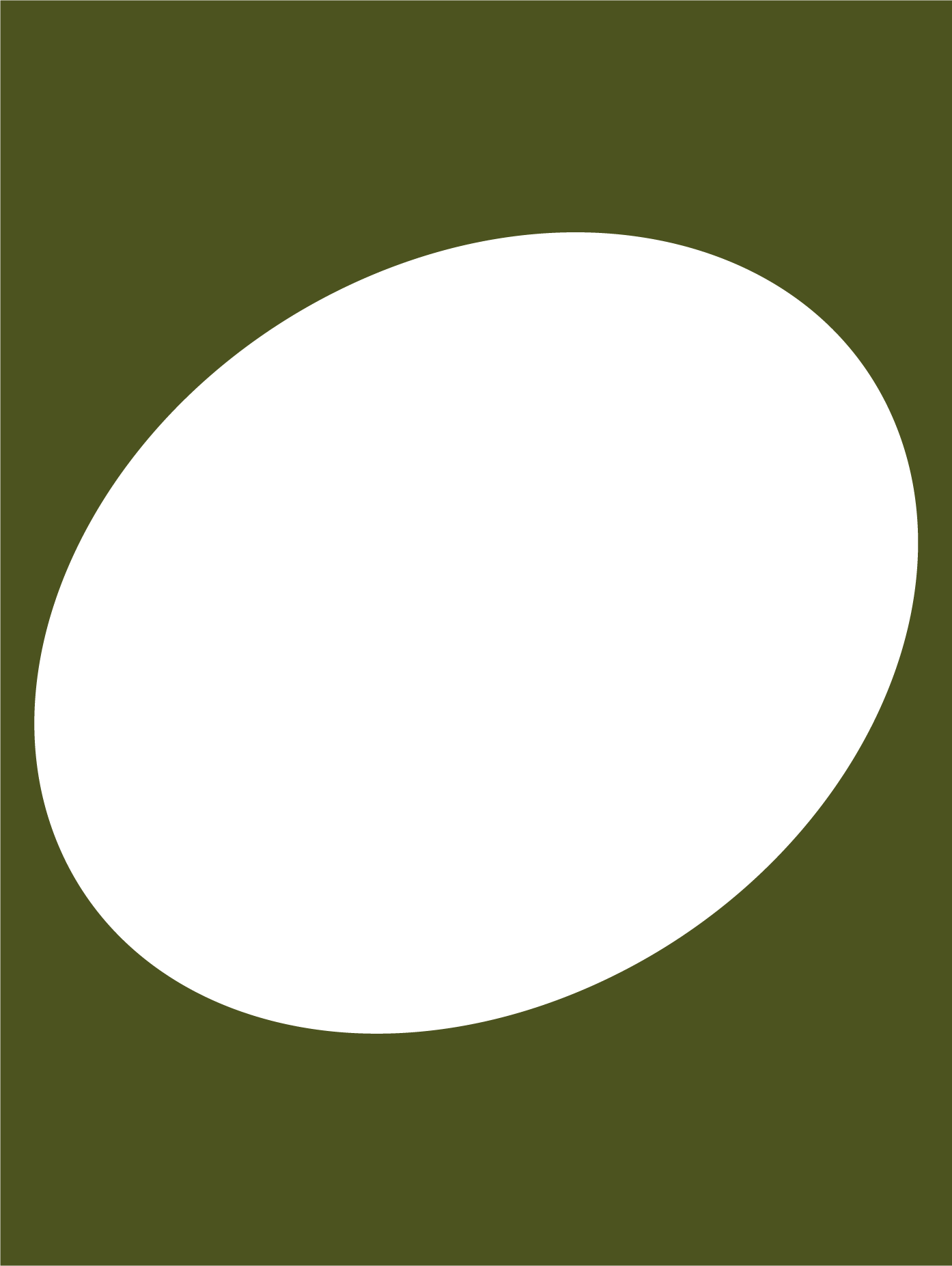 third-field-career-coaching-amsterdam-graphic