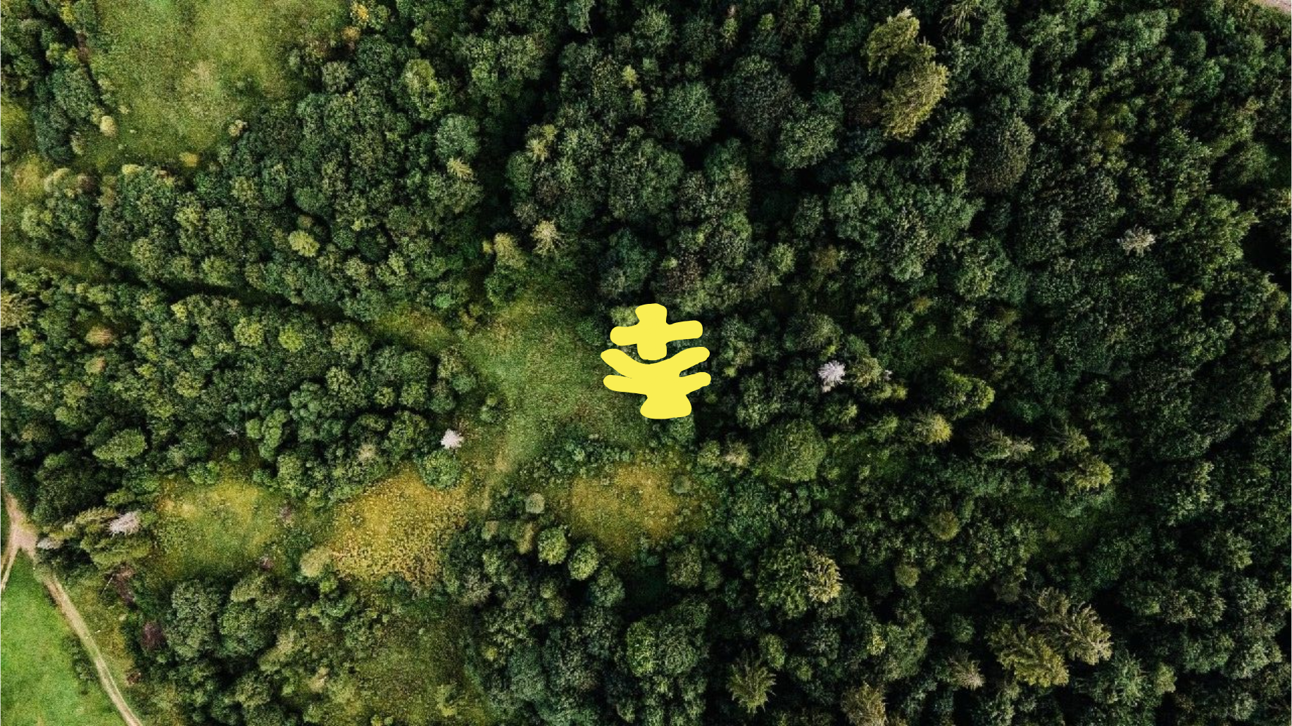 Tree Aid