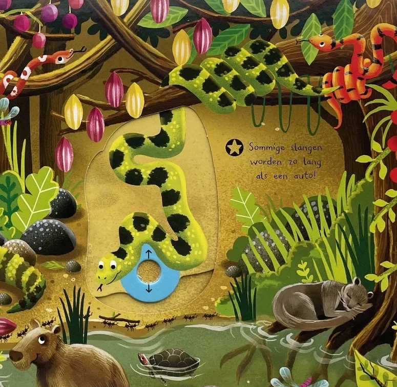 In de jungle - Kijk en ontdek! 03.jpg