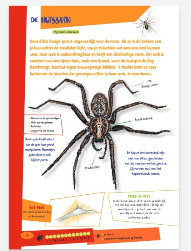 De leukste insectengids voor kids 04.jpg