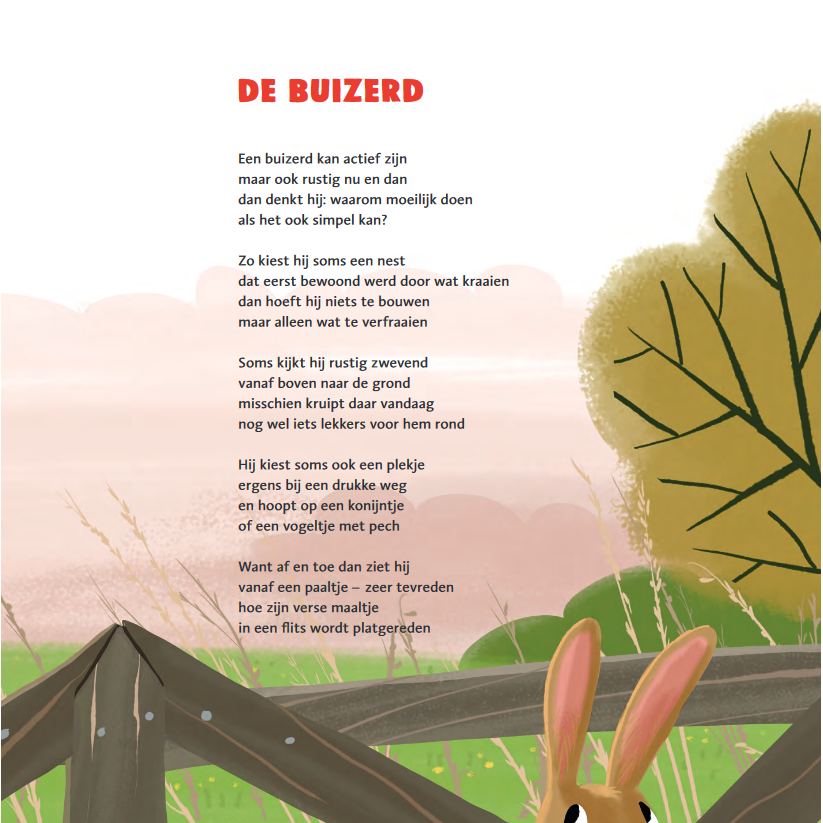 Marianne Busser & Ron Schröder - Het dikke vogelboek 03.png