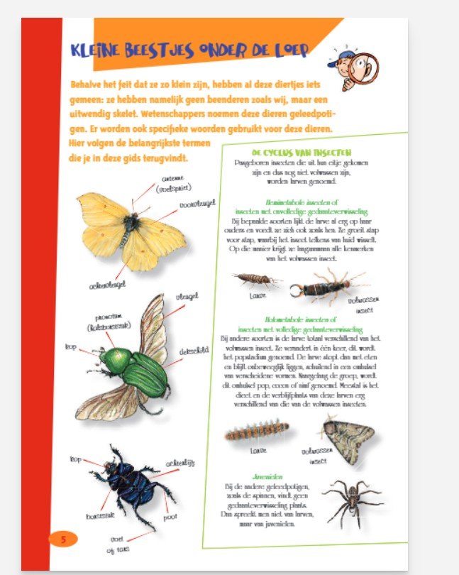 De leukste insectengids voor kids 03.jpg