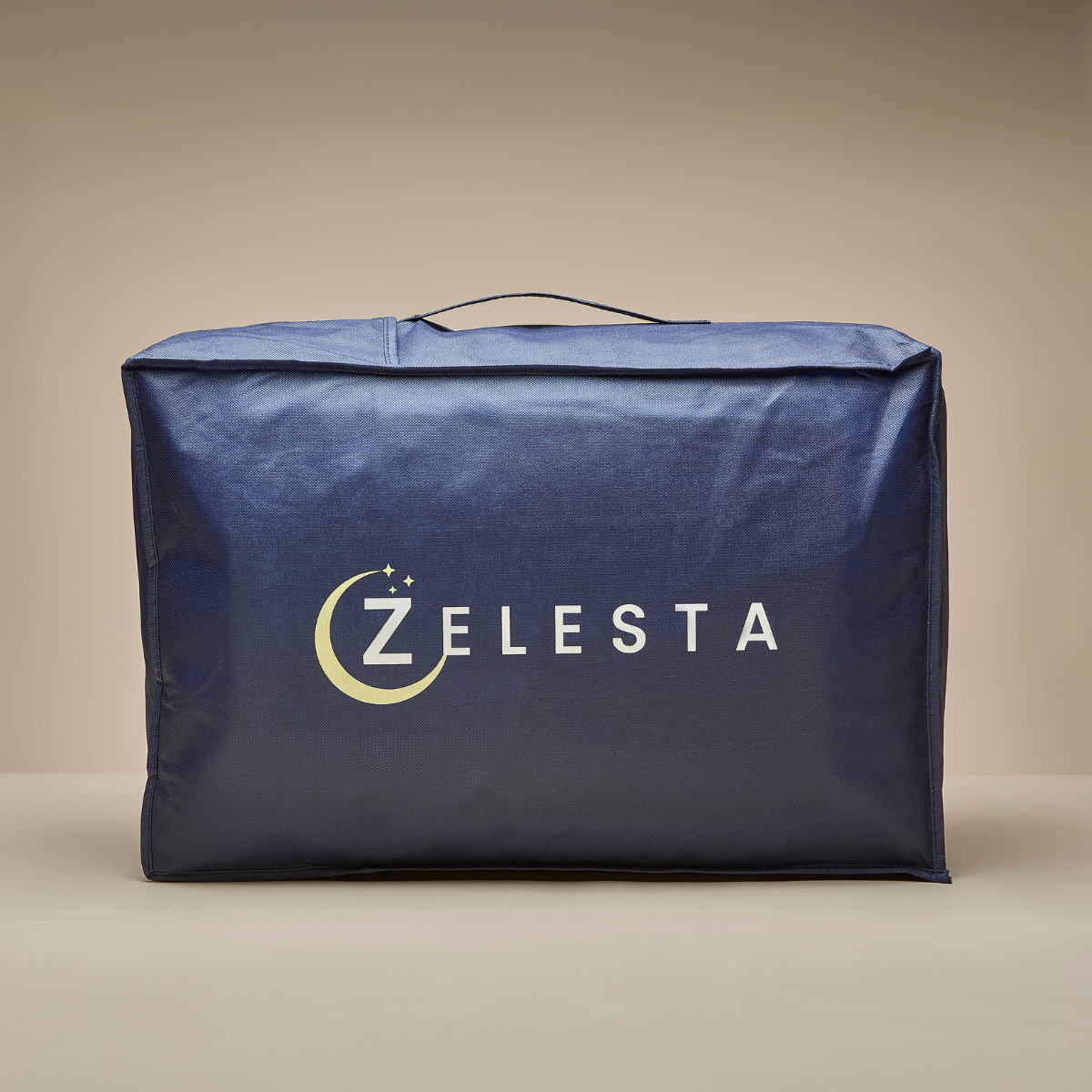 Zelesta Teddy Groovebed 07.png