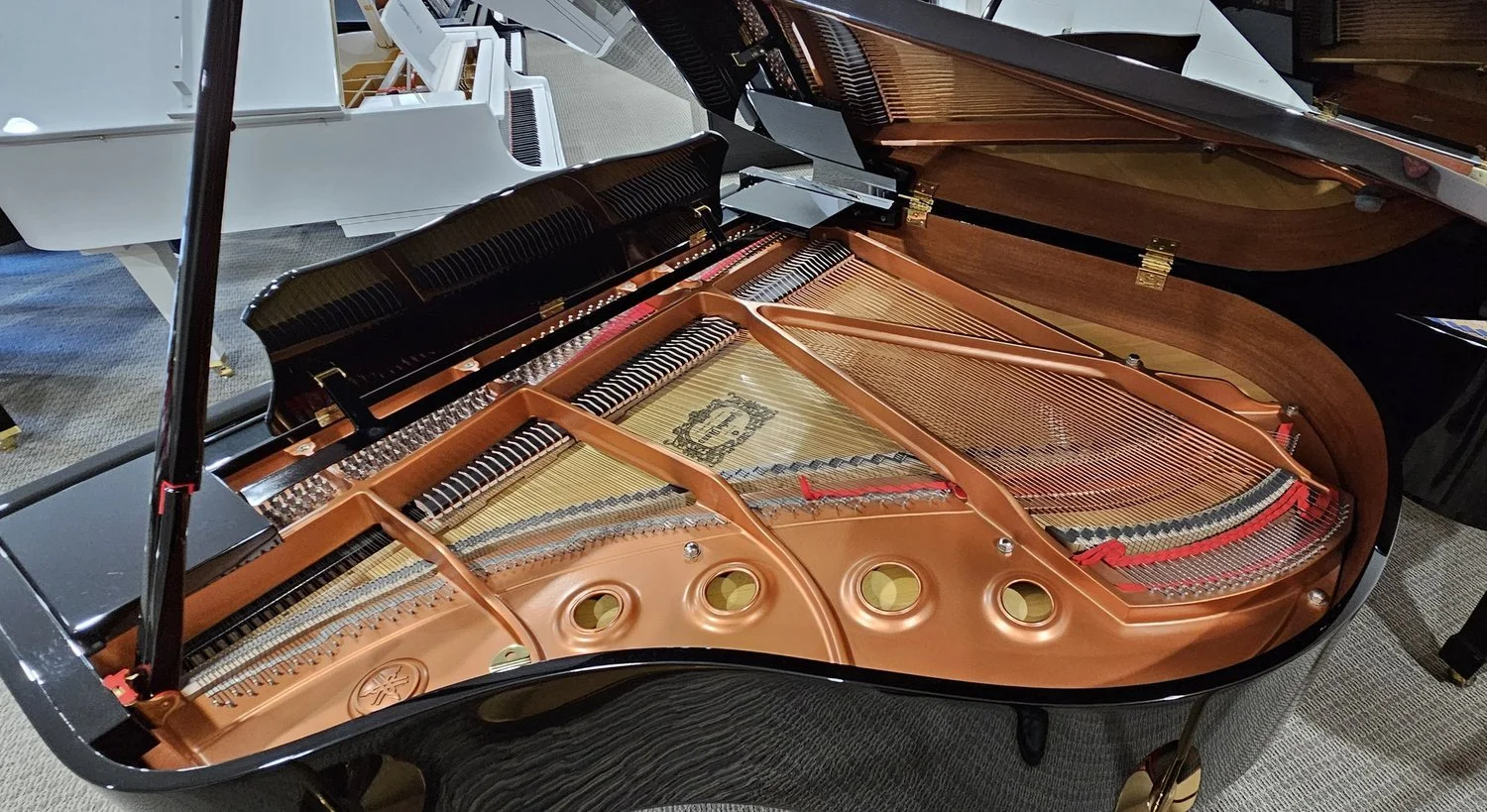 Yamaha DGC-1 Disklavier Enspire Grand Piano 3.jpg