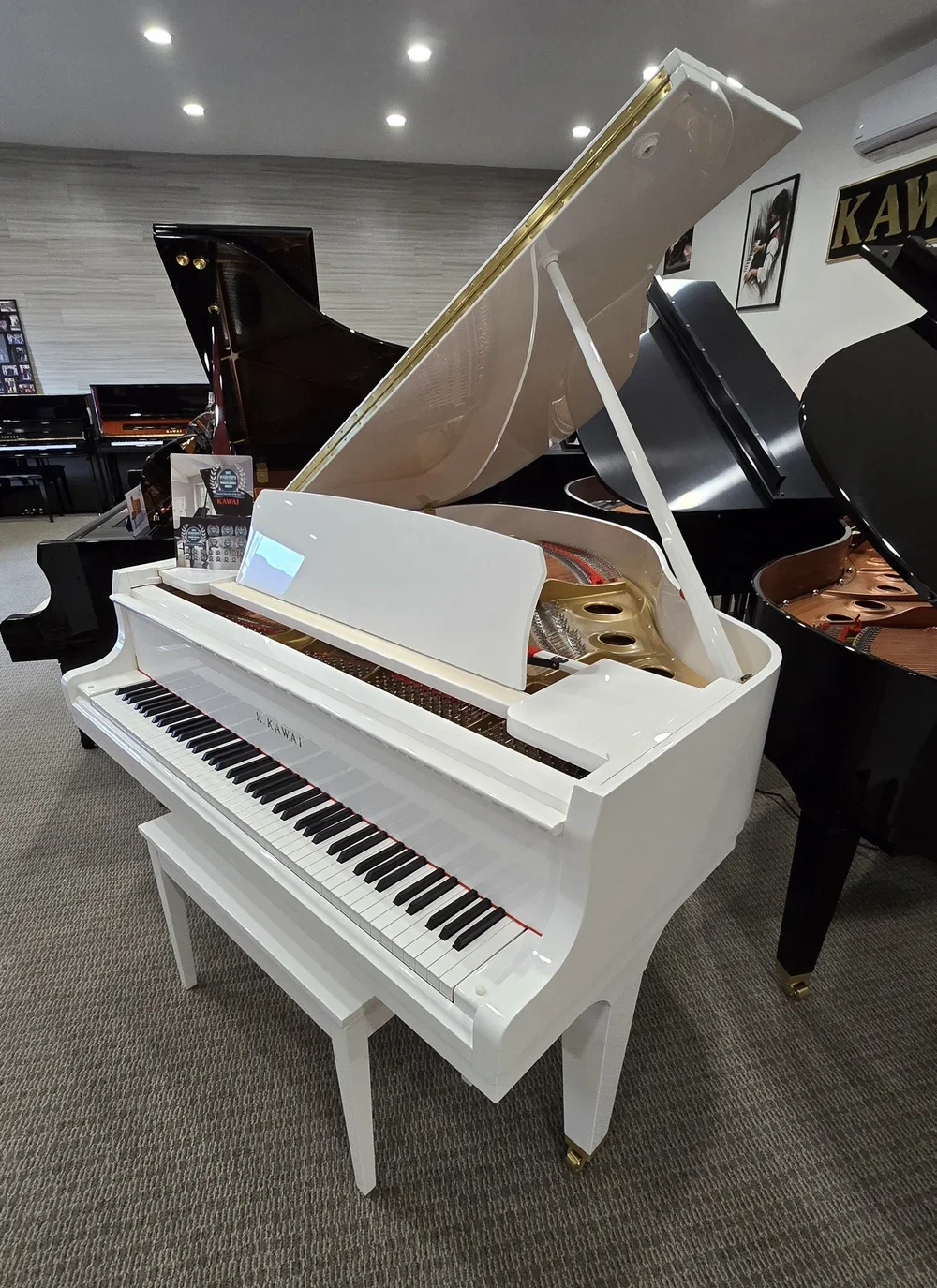 Kawai GL-20
