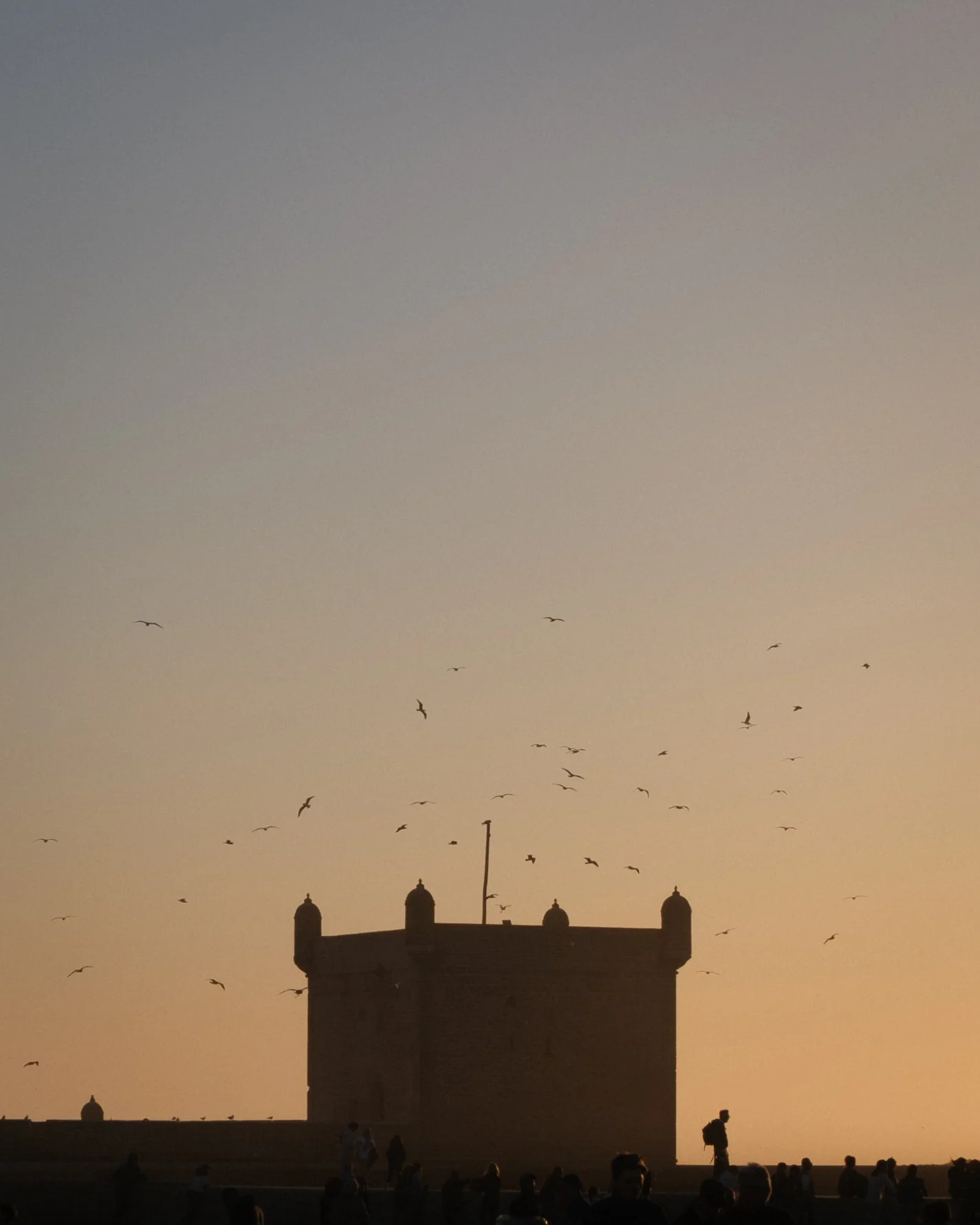 Essaouira, 2024