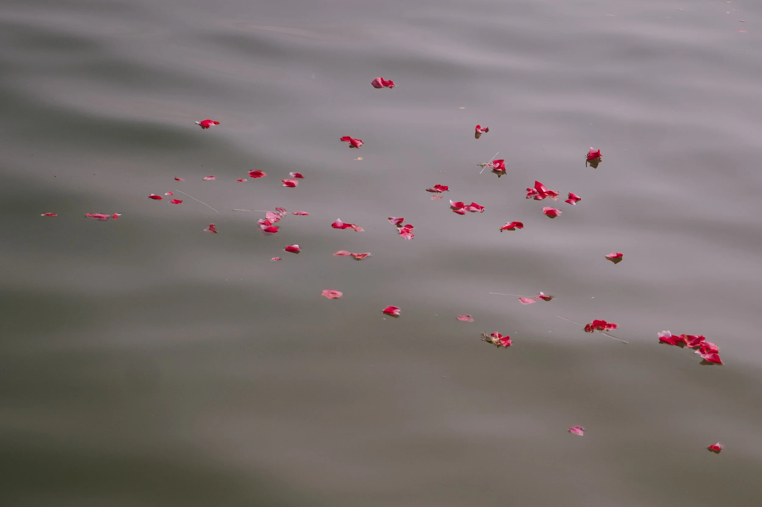 Varanasi, 2026