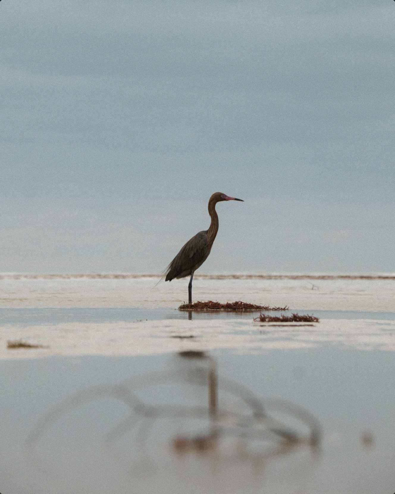 Holbox, 2025