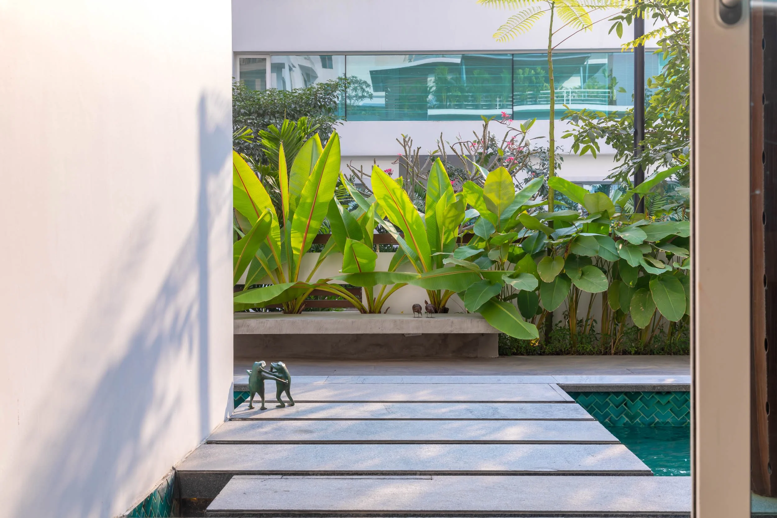 Modern tropical landscape design featuring a wooden deck walkway, lush large-leaf greenery, and contemporary white architecture.