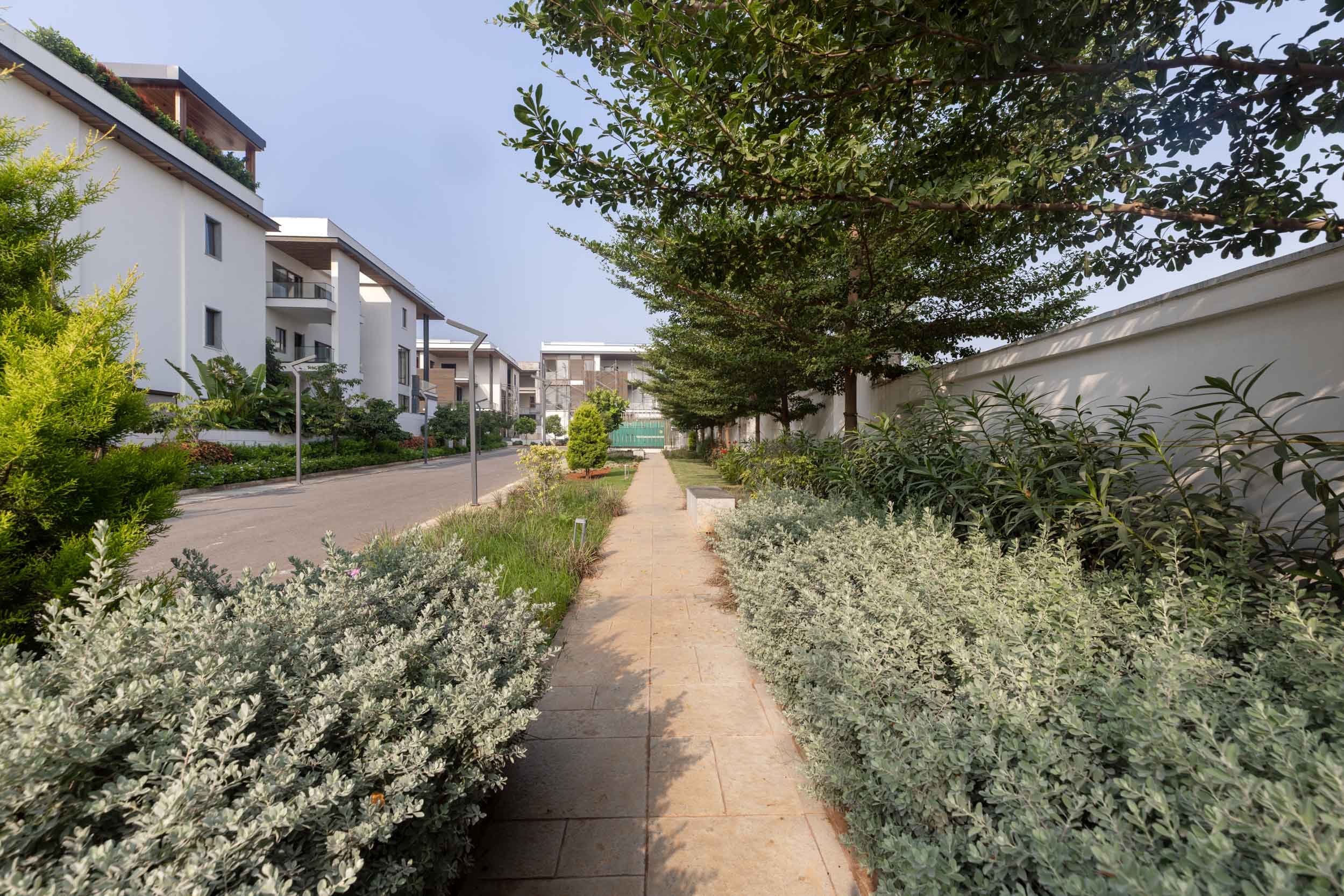 Residential real estate exterior photography capturing a landscaped walking path, lush greenery, and modern apartment buildings in a peaceful community setting