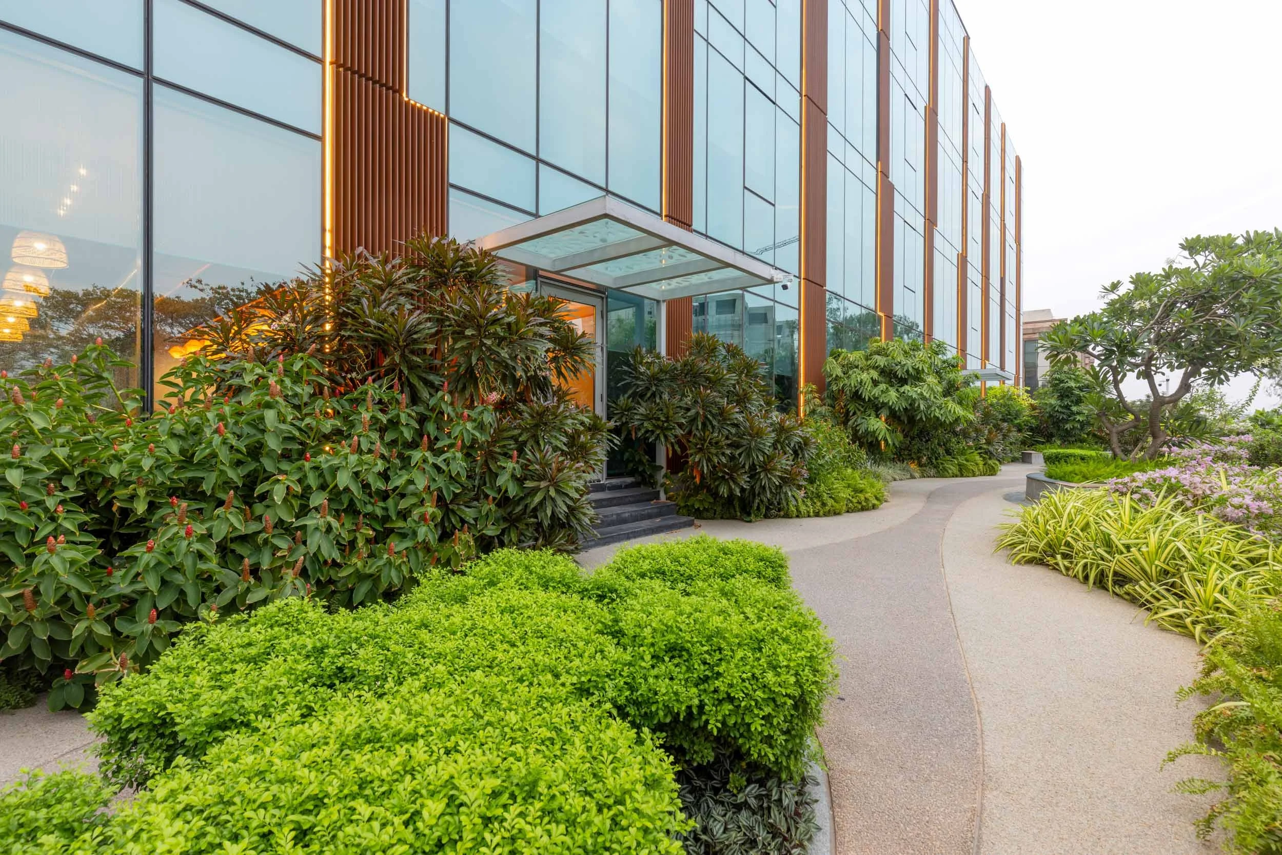 A paved garden walkway bordered by vibrant green bushes, leading alongside a modern commercial building with reflective glass and vertical slatted details