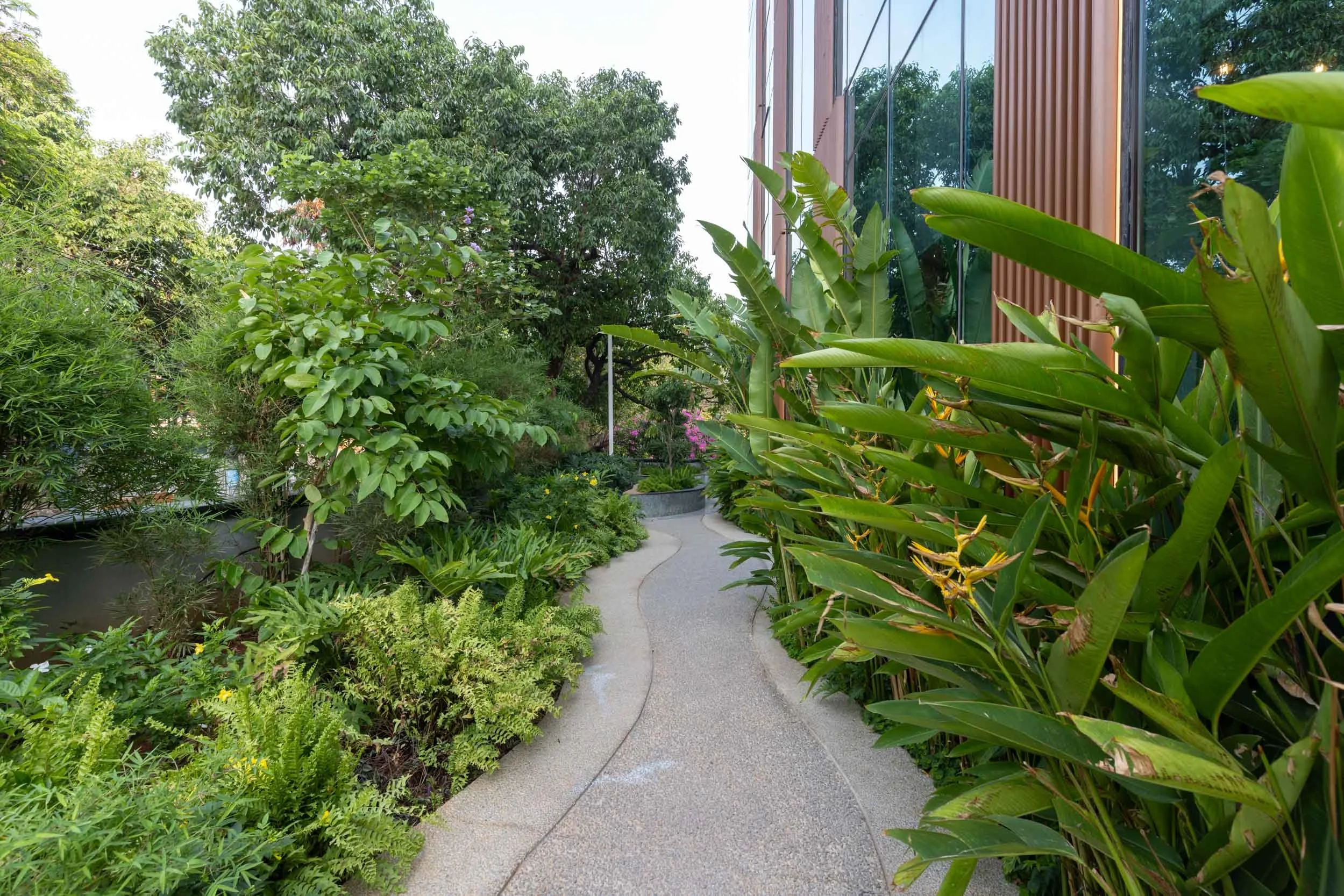 A paved garden pathway winding through lush tropical greenery alongside a modern building with vertical slatted screens