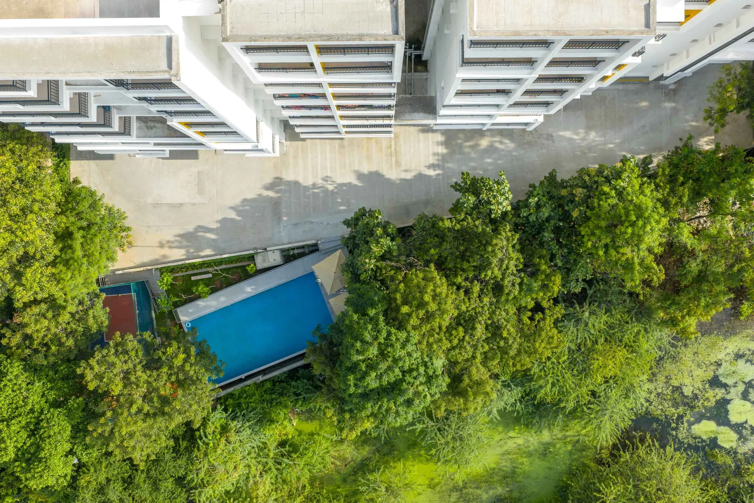 erial real estate photography showcasing luxury community amenities, featuring an outdoor swimming pool surrounded by dense landscaping and modern apartment buildings