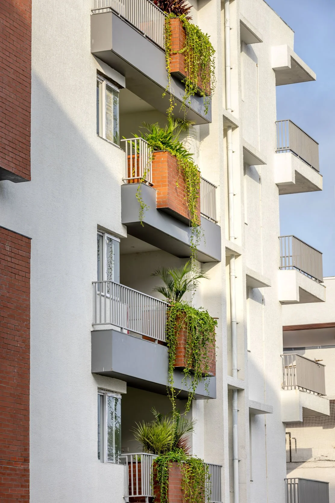 Professional architectural photography highlighting a modern building facade detail, featuring crisp white walls, vertical wooden louvers, and biophilic balcony greenery
