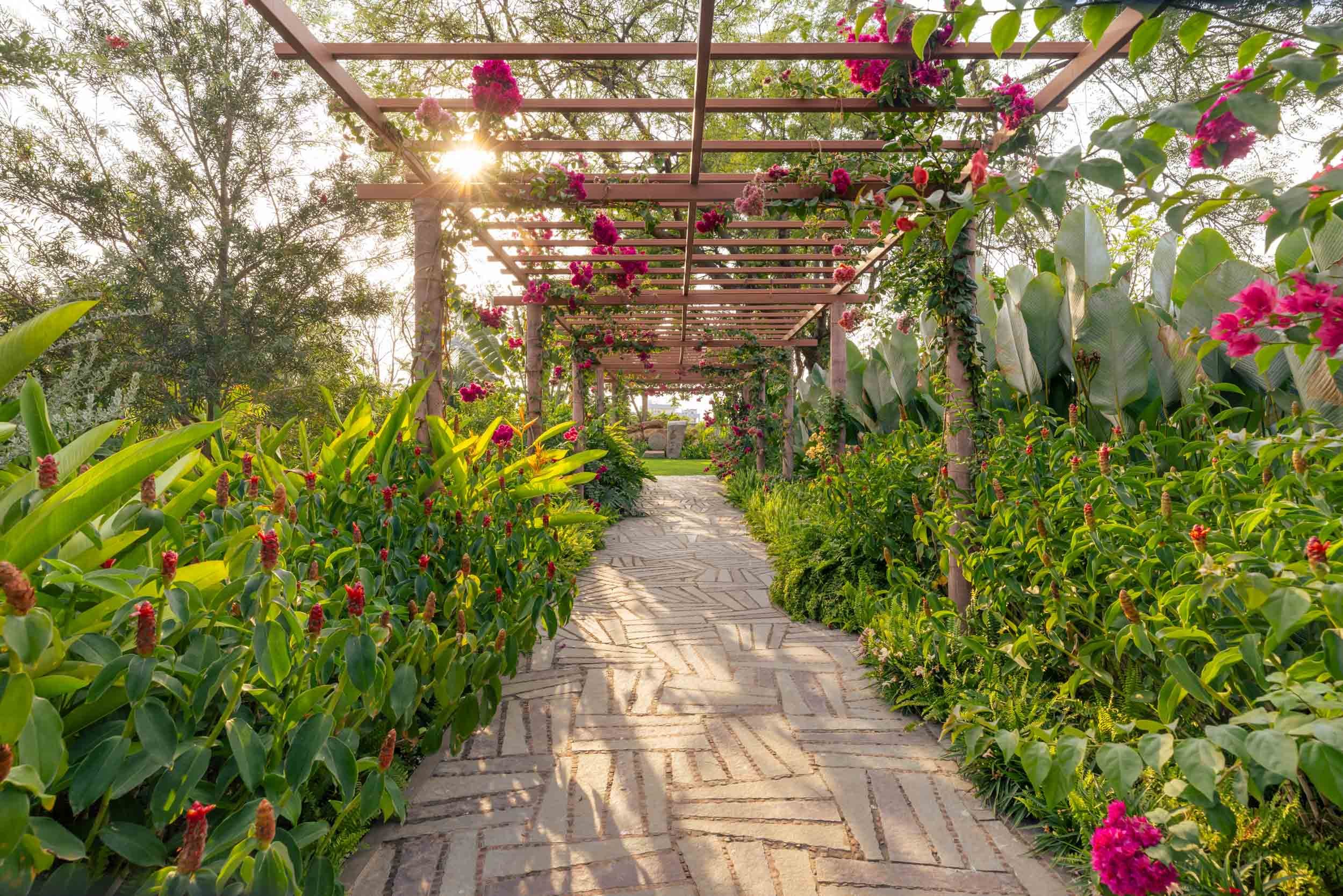 A sunlit wooden garden pathway running beneath a beautifully vine-covered pergola, surrounded by lush tropical greenery.