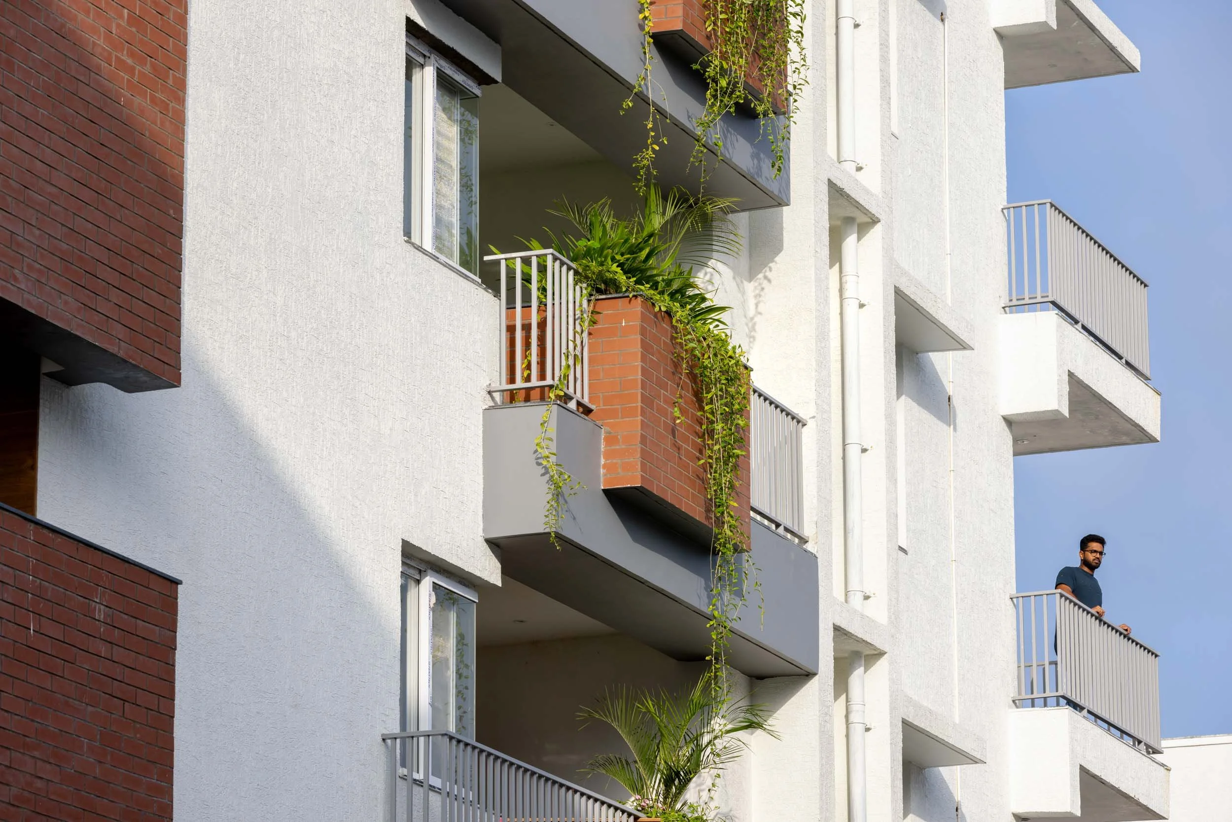Professional architectural photography capturing a modern exterior facade detail, highlighting clean white walls, a vibrant balcony planter with trailing greenery, and beautiful contrasting textures