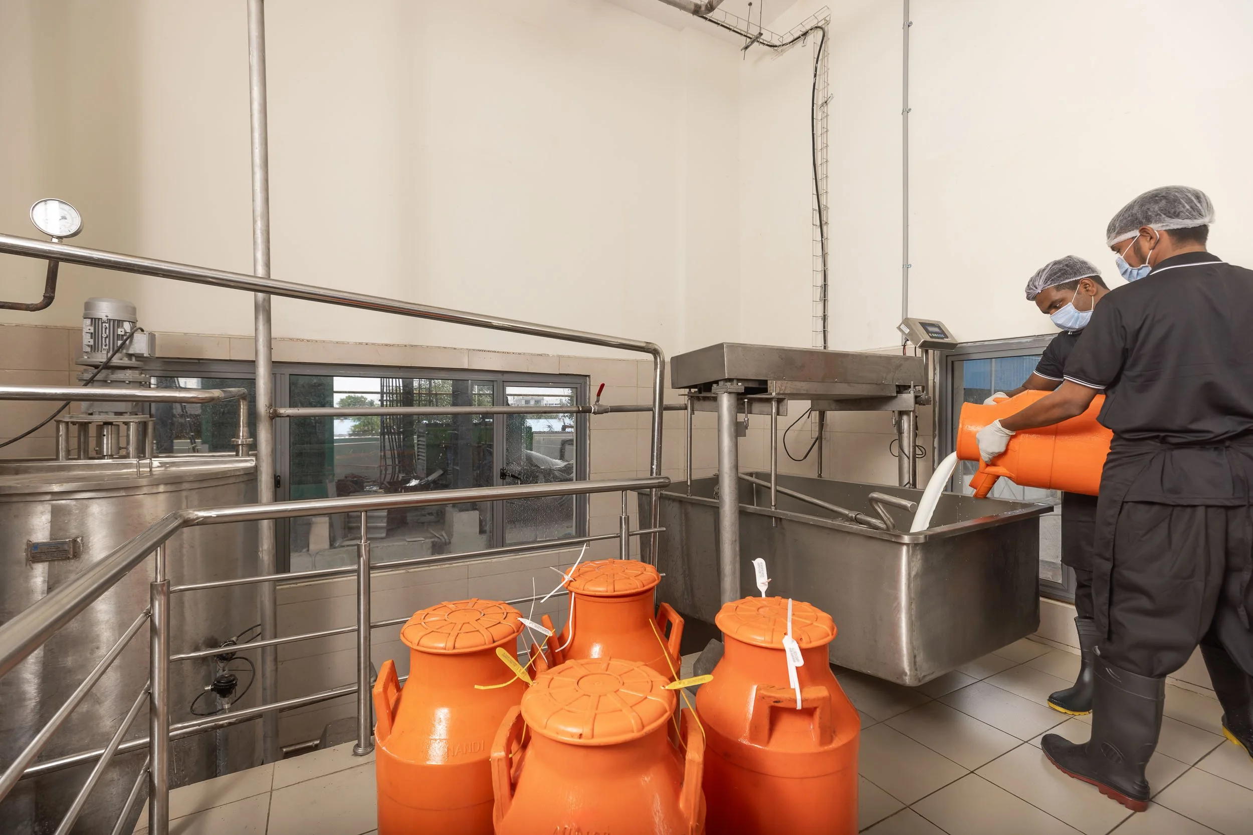 Interior industrial photography of workers pouring raw materials from orange milk cans into stainless steel vats at a dairy processing facility.