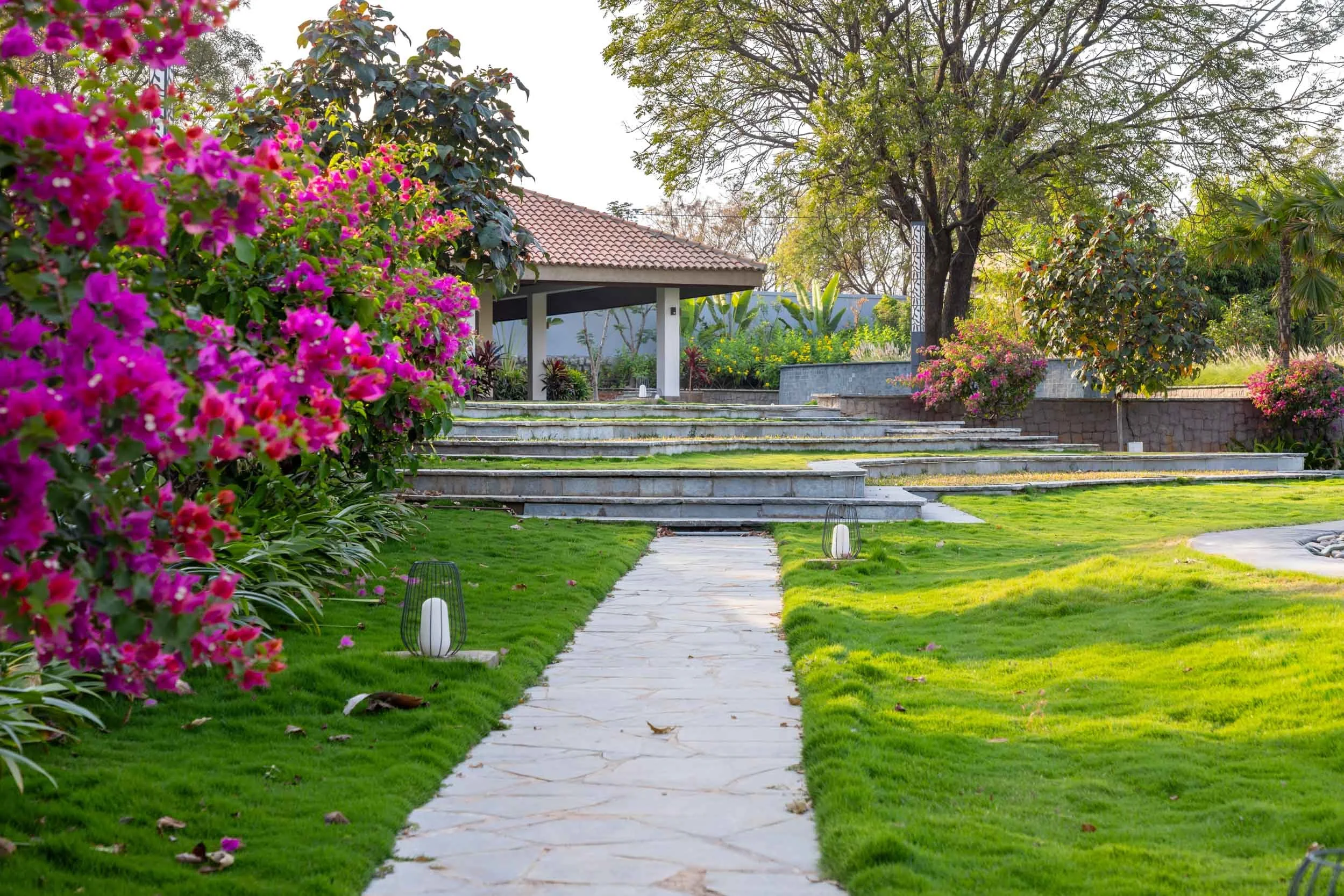 A geometric stone pathway leading through a lush green lawn, bordered by vibrant pink bougainvillea bushes and mature trees