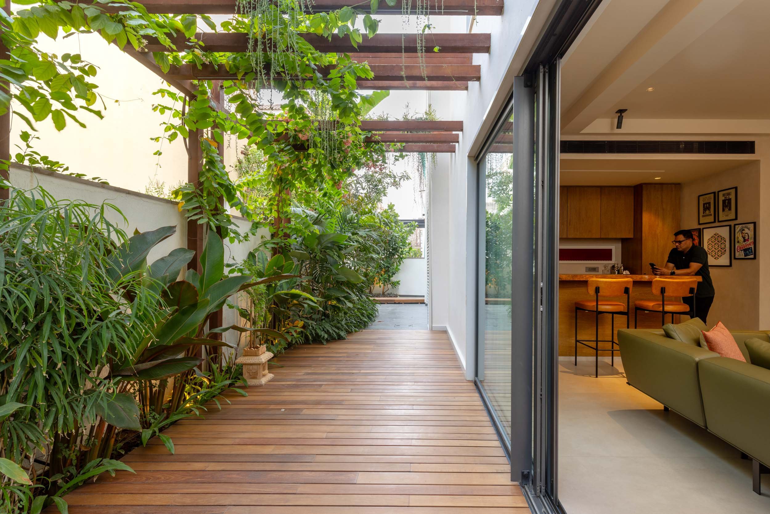 Architectural photography of a wooden deck walkway under a lush, vine-covered pergola, located next to open sliding glass doors