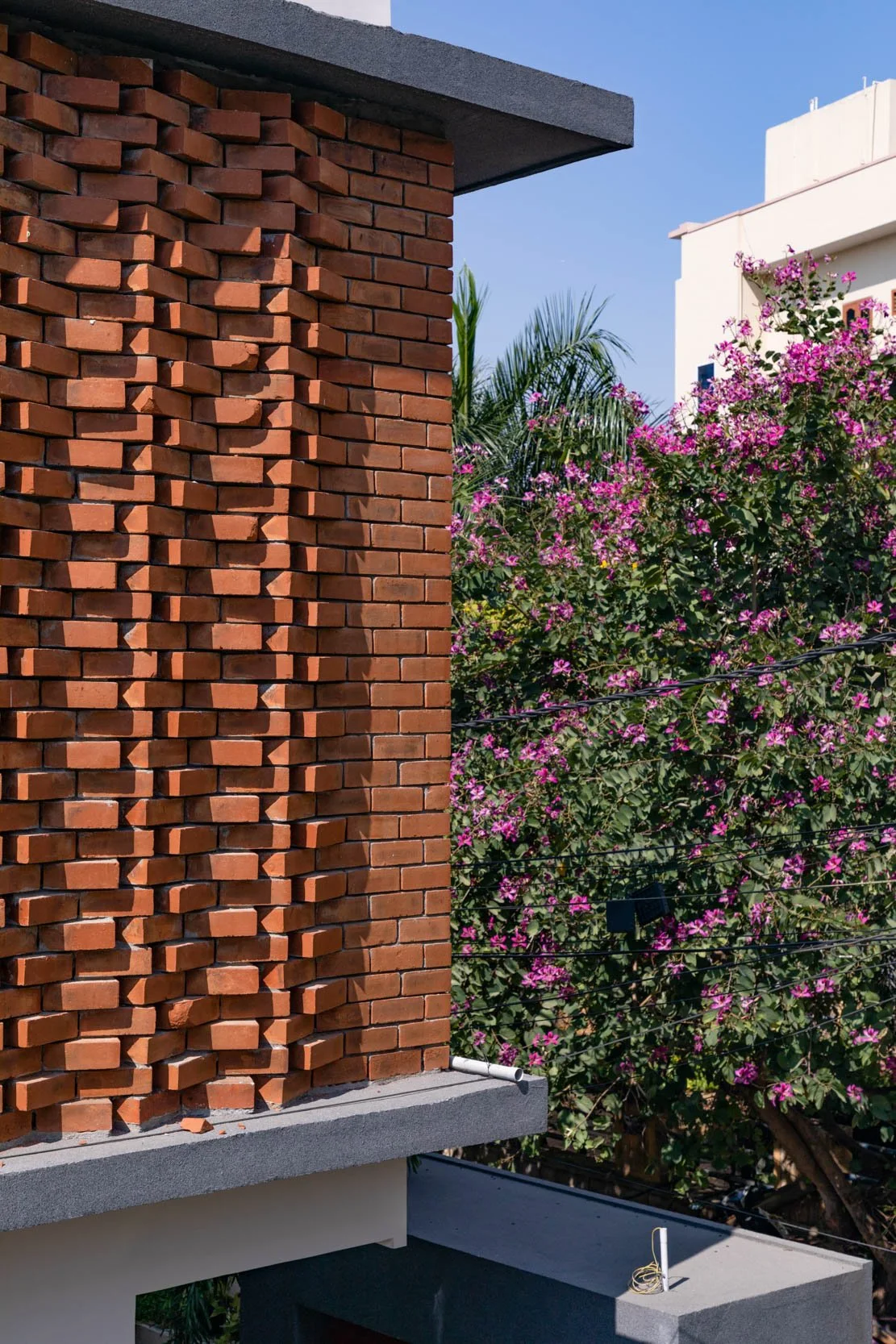 Professional exterior architectural detail photography of a modern residential home, highlighting an intricate perforated terracotta brick screen beautifully framed by vibrant landscaping