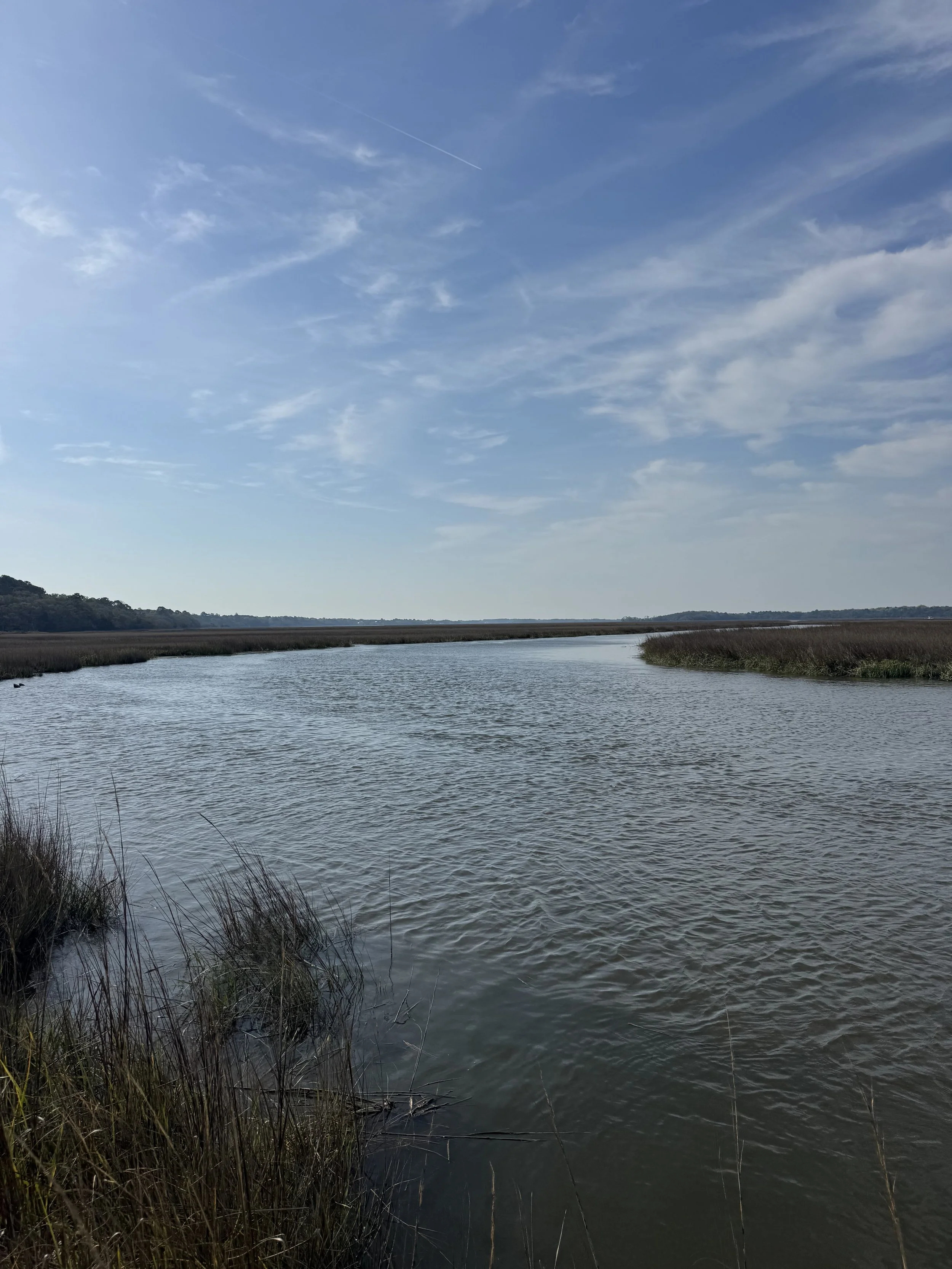 A river flowing through a marshland with tall grasses, under a partly cloudy blue sky.