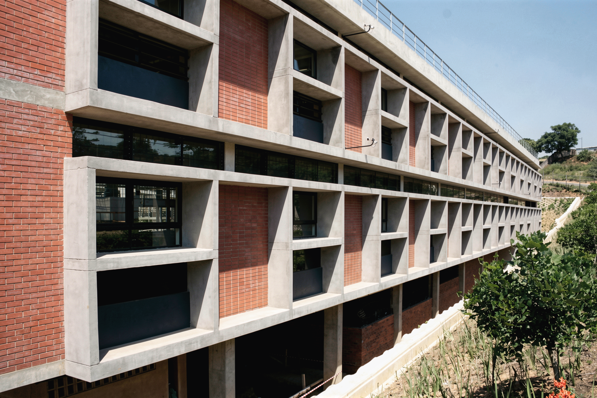 MANGOSUTHU UNIVERSITY NATURAL SCIENCES 3.png