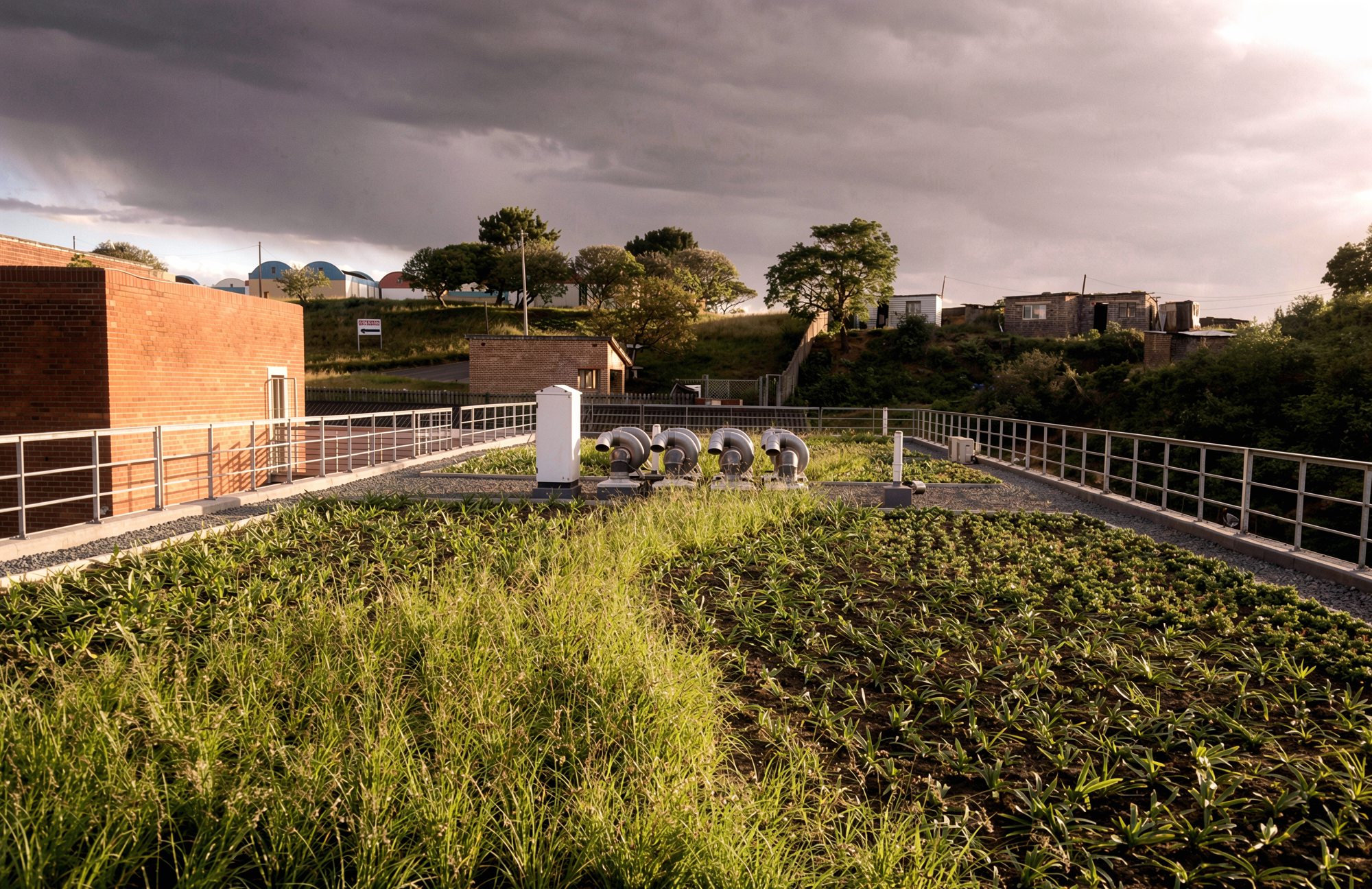 MANGOSUTHU UNIVERSITY NATURAL SCIENCES 5.png