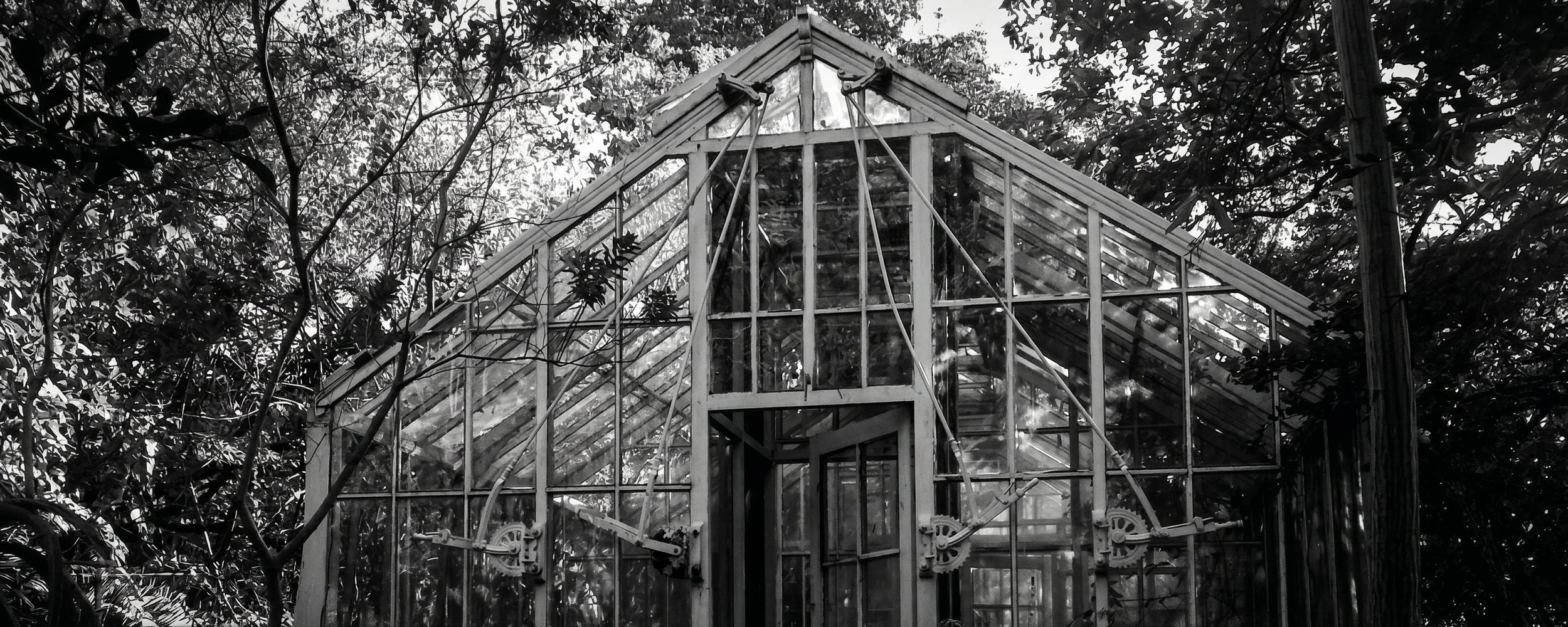 KwaZulu-Natal Herbarium