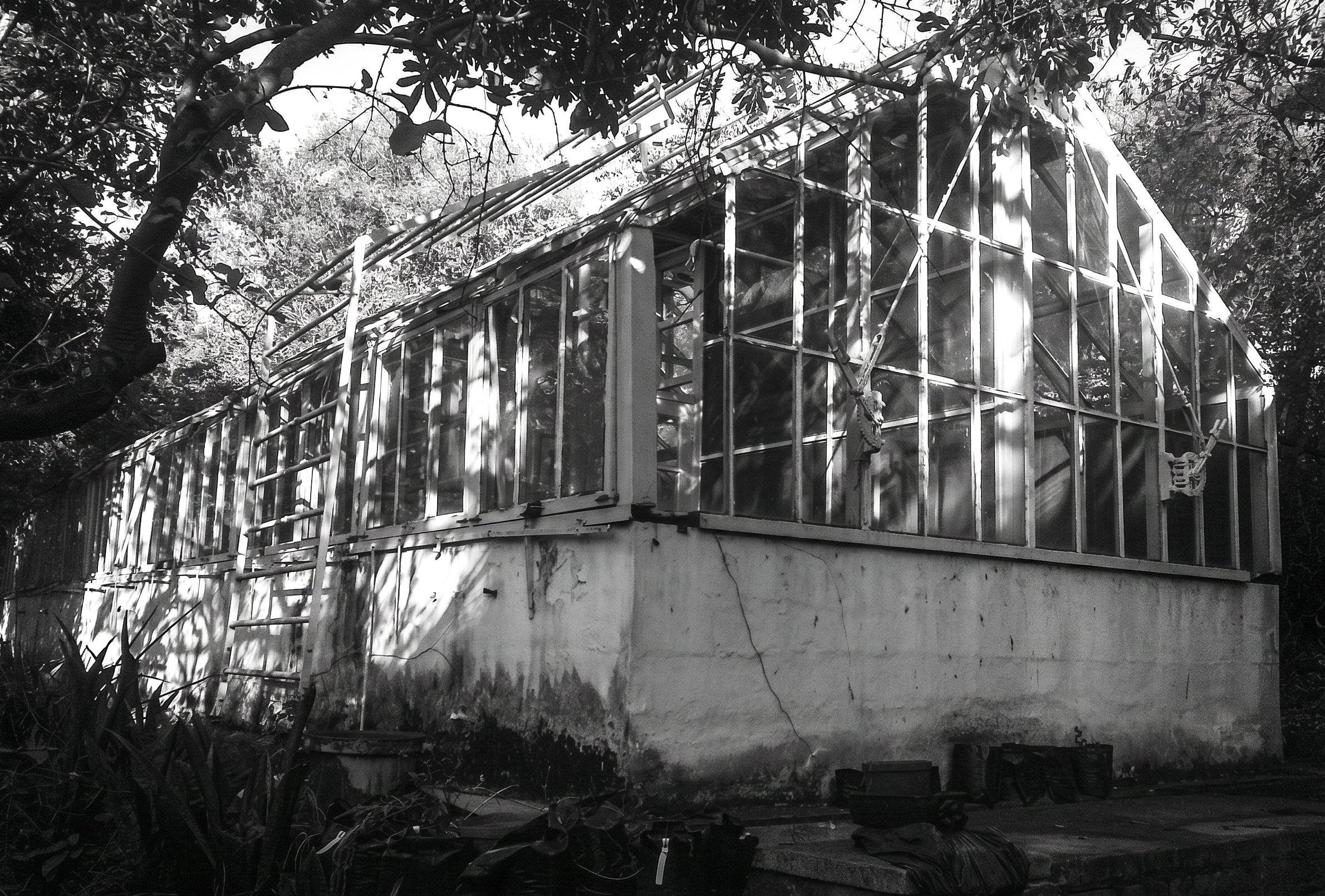 KZN HERBARIUM 1.jpg