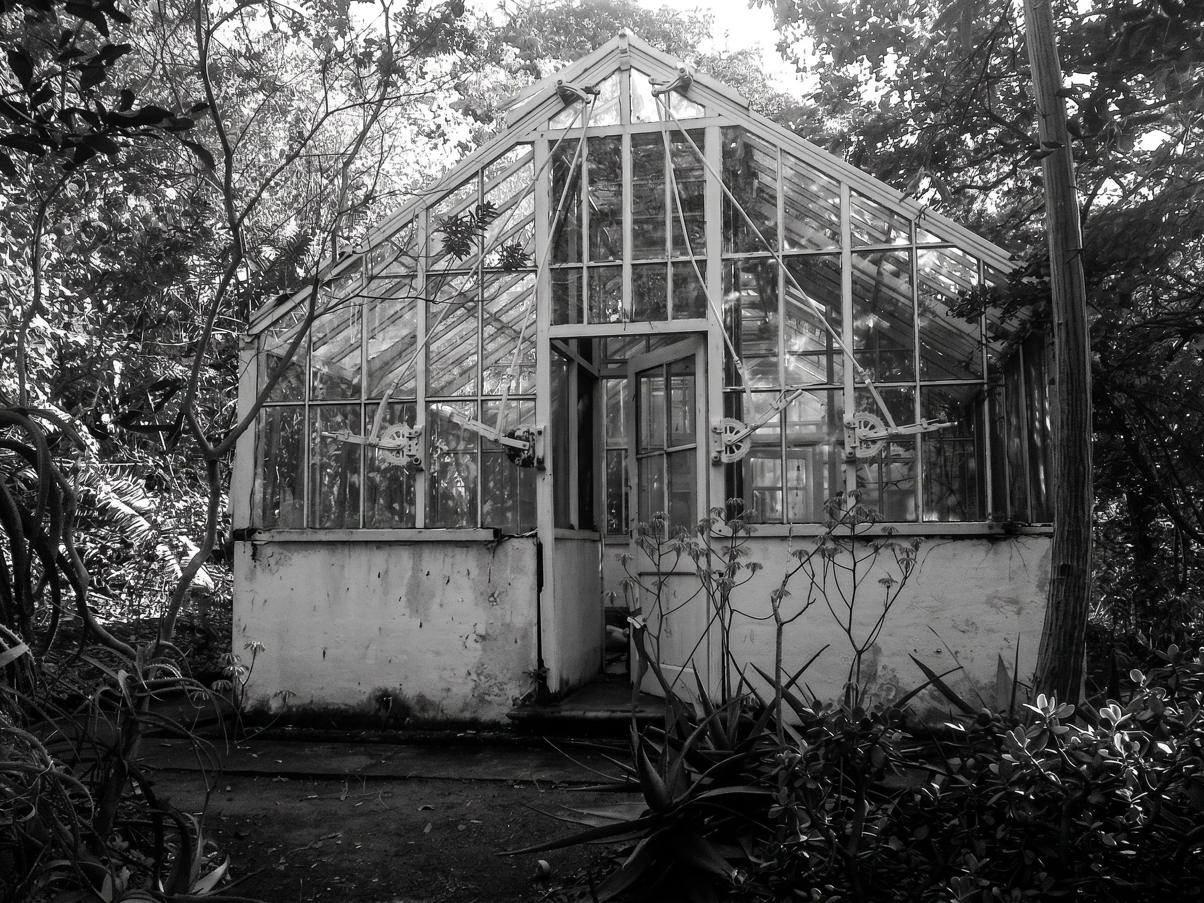 KZN HERBARIUM 4.jpg