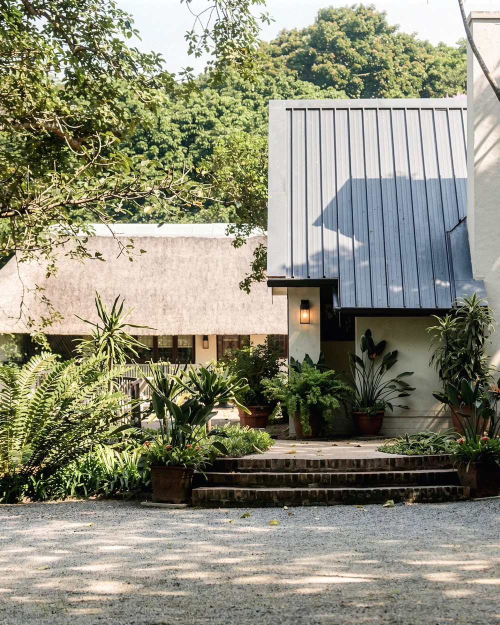 A modern house with a blue metal roof, lush green plants in pots, a stone brick staircase, and outdoor lighting surrounded by trees.