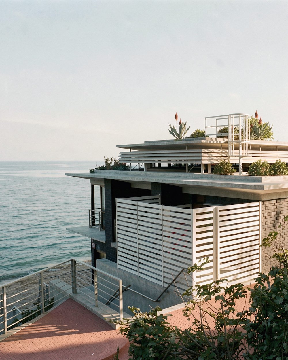 Modern seaside house with white slatted fencing and rooftop plants, overlooking the ocean.