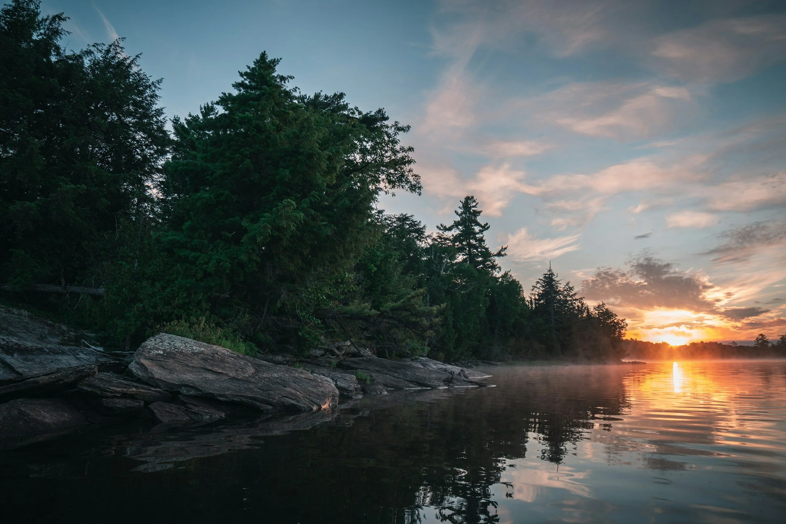 Top 5 Parks in Mississauga for Family Photography Sessions