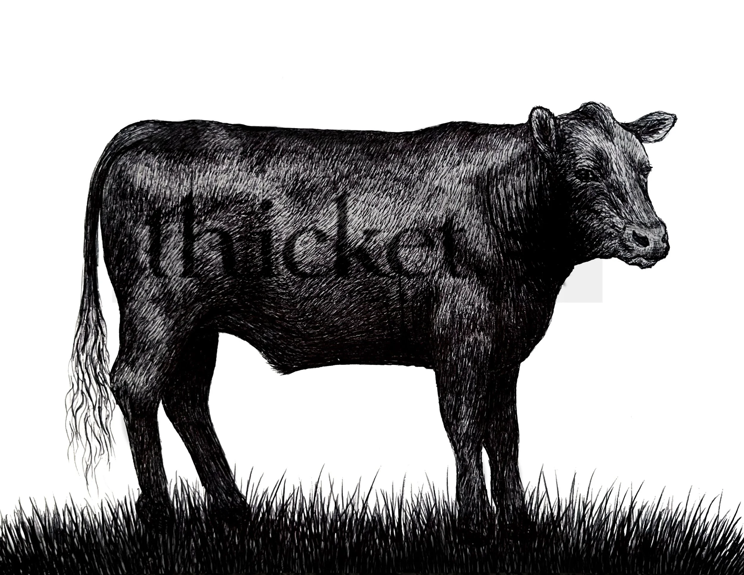 cow watermark.jpg
