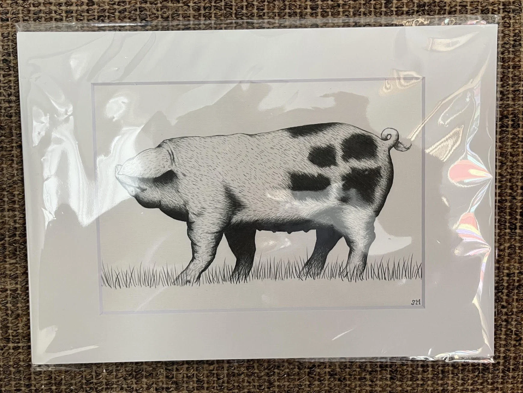 pig 3.jpg